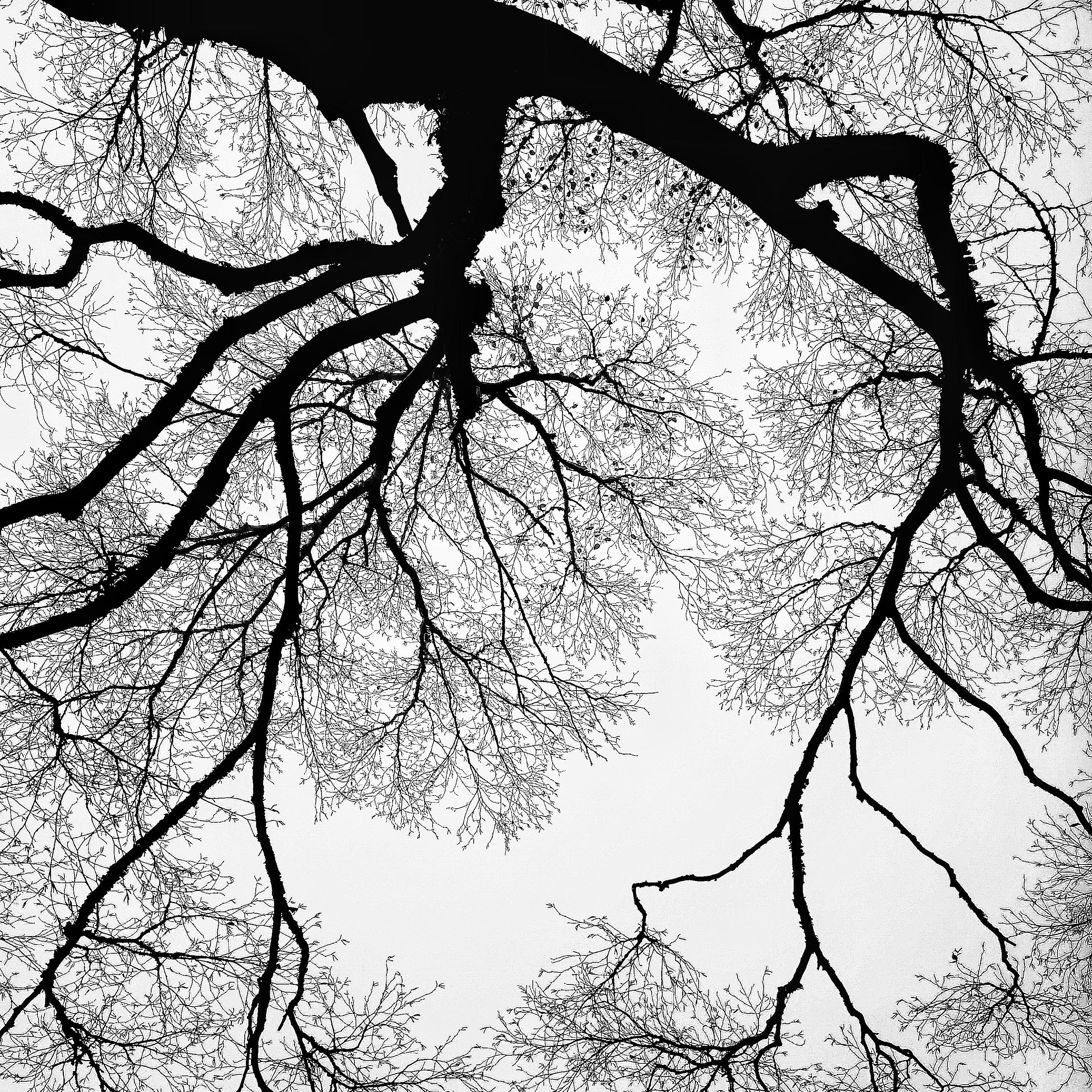 cai hong tiao se pan