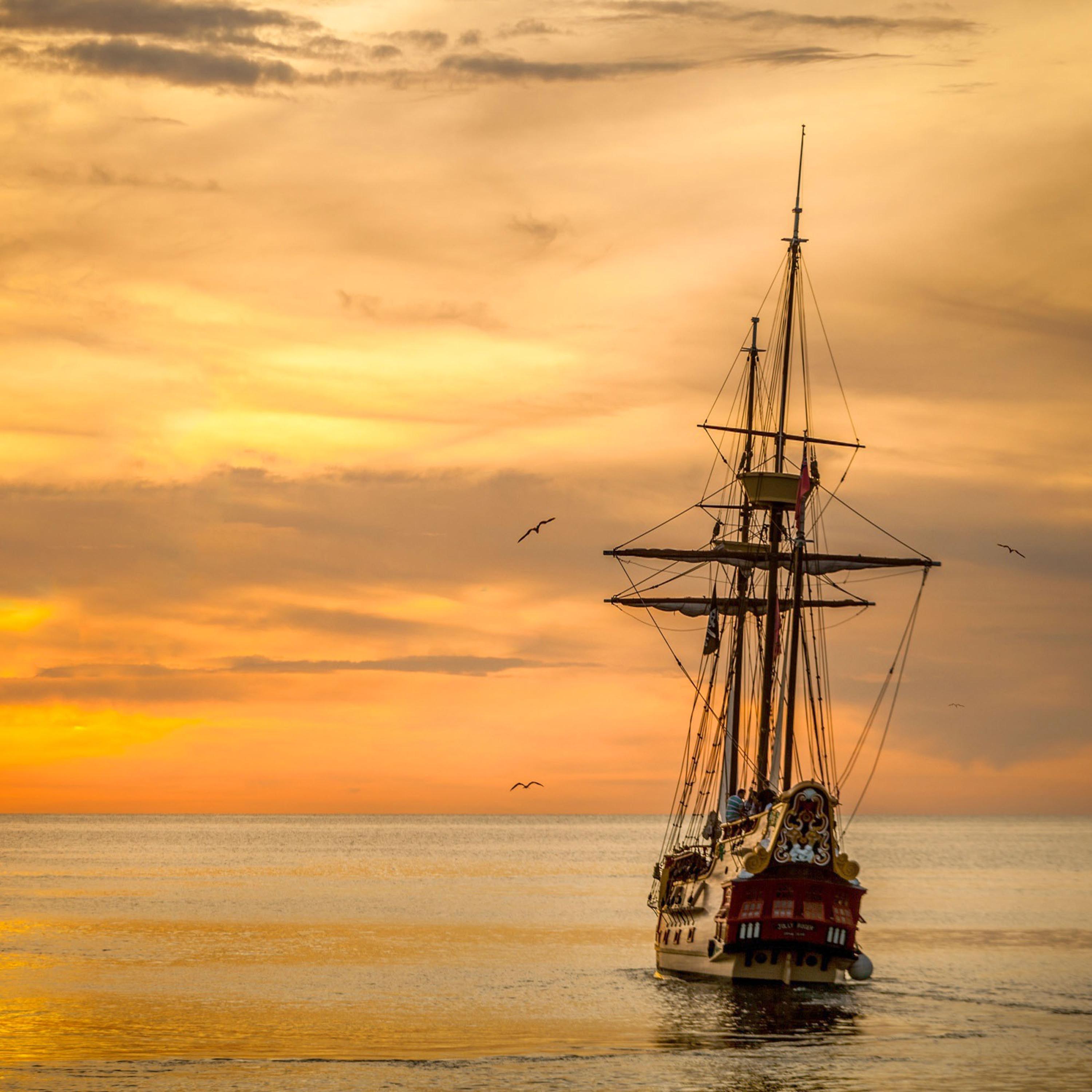 Mother Nature&#039; s Forest Creek Understands My Heart