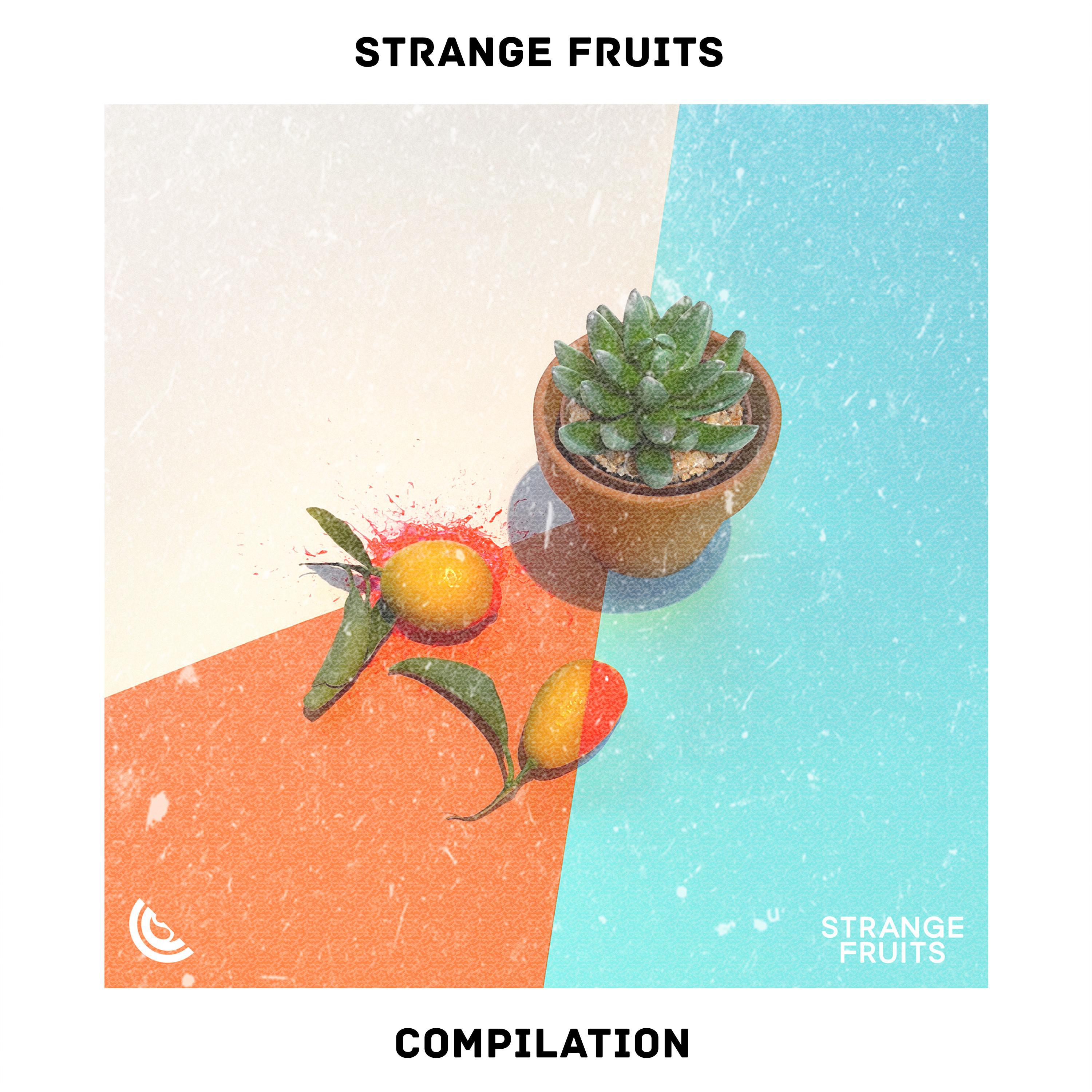 Melhores Musicas Eletronicas 2019 Mix, Mu sica Eletr nica, Festival Brasil 2019