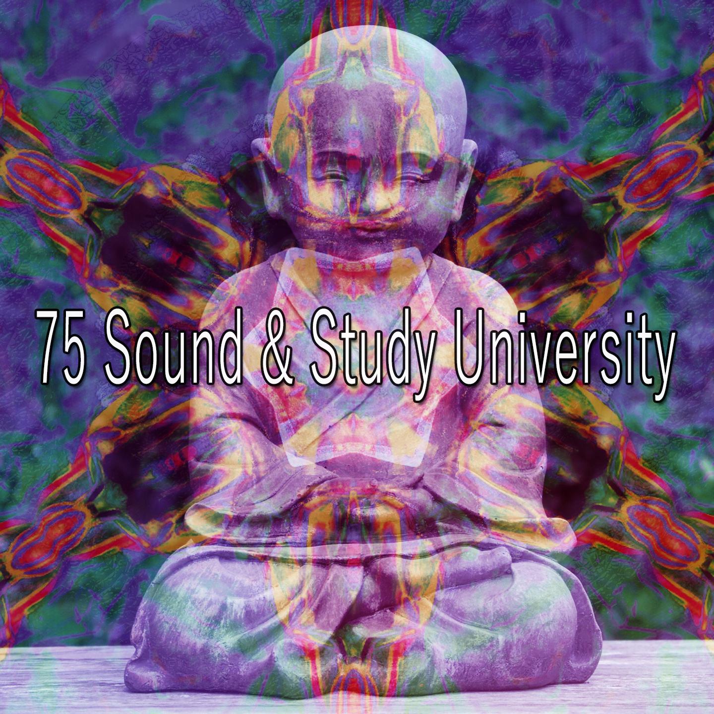 75 Sound & Study University