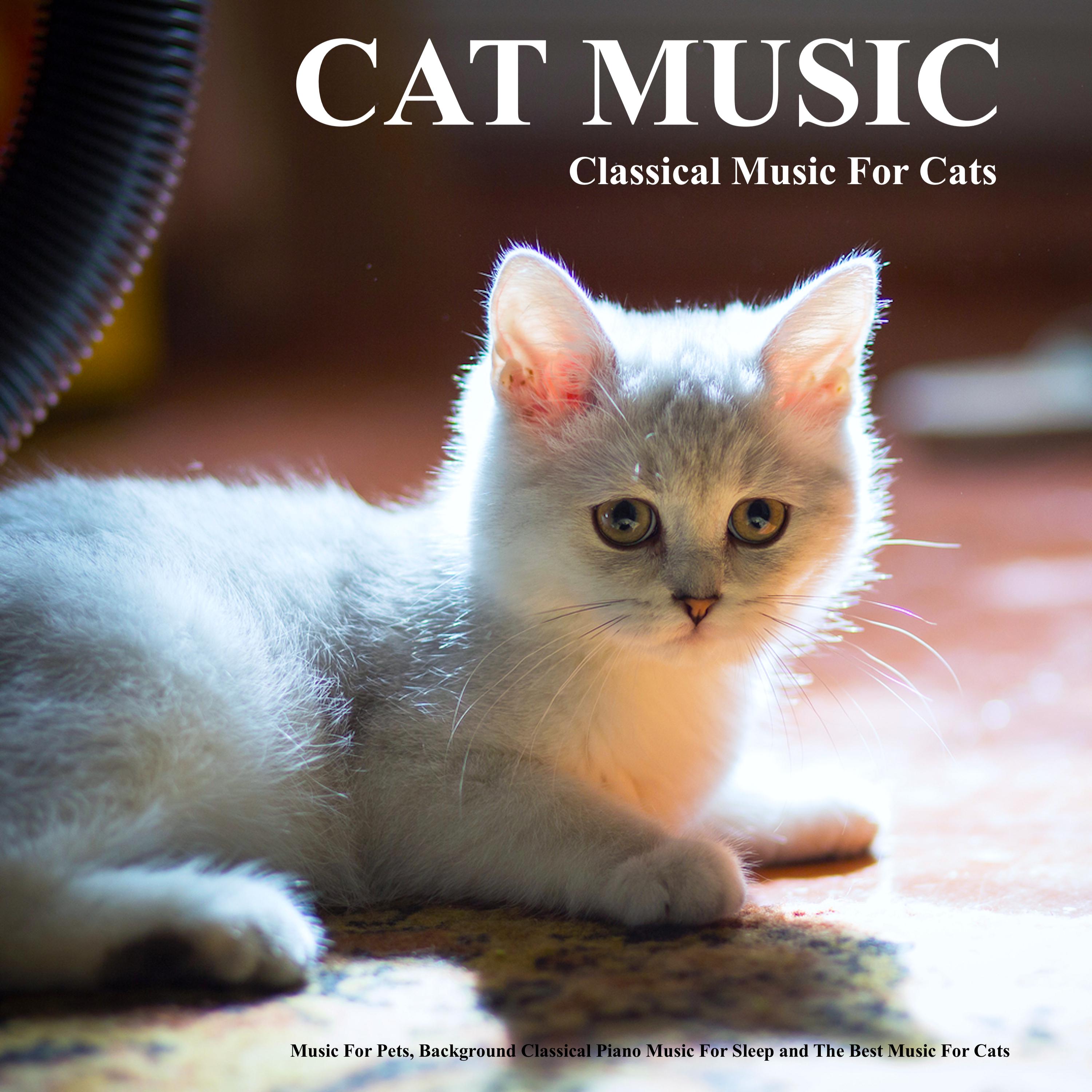 Nocturne in Db - Chopin. - Cat Music - Classical Piano Music - Music For Cats