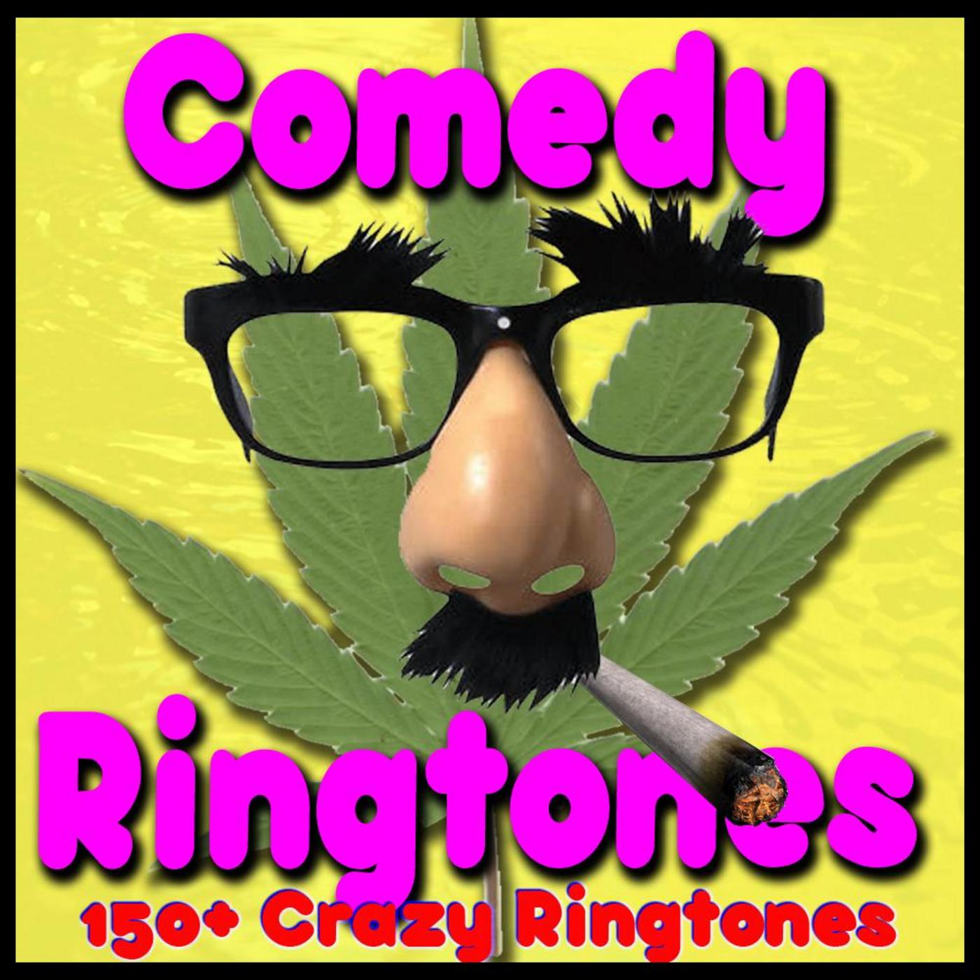 ************ Pick Up Ringtone Alarm Text Alert