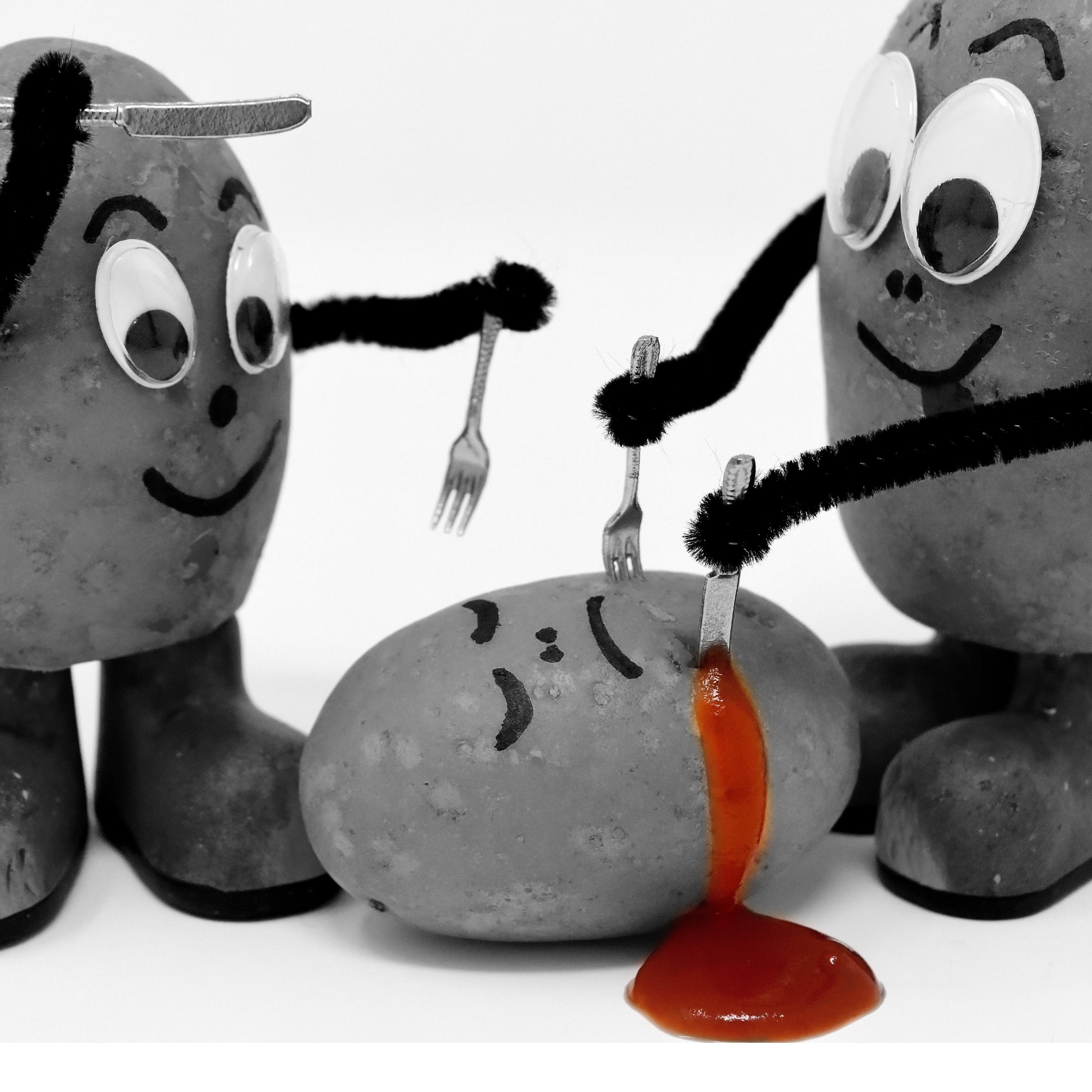 Surf Acoustic Vibes, Vol. 2