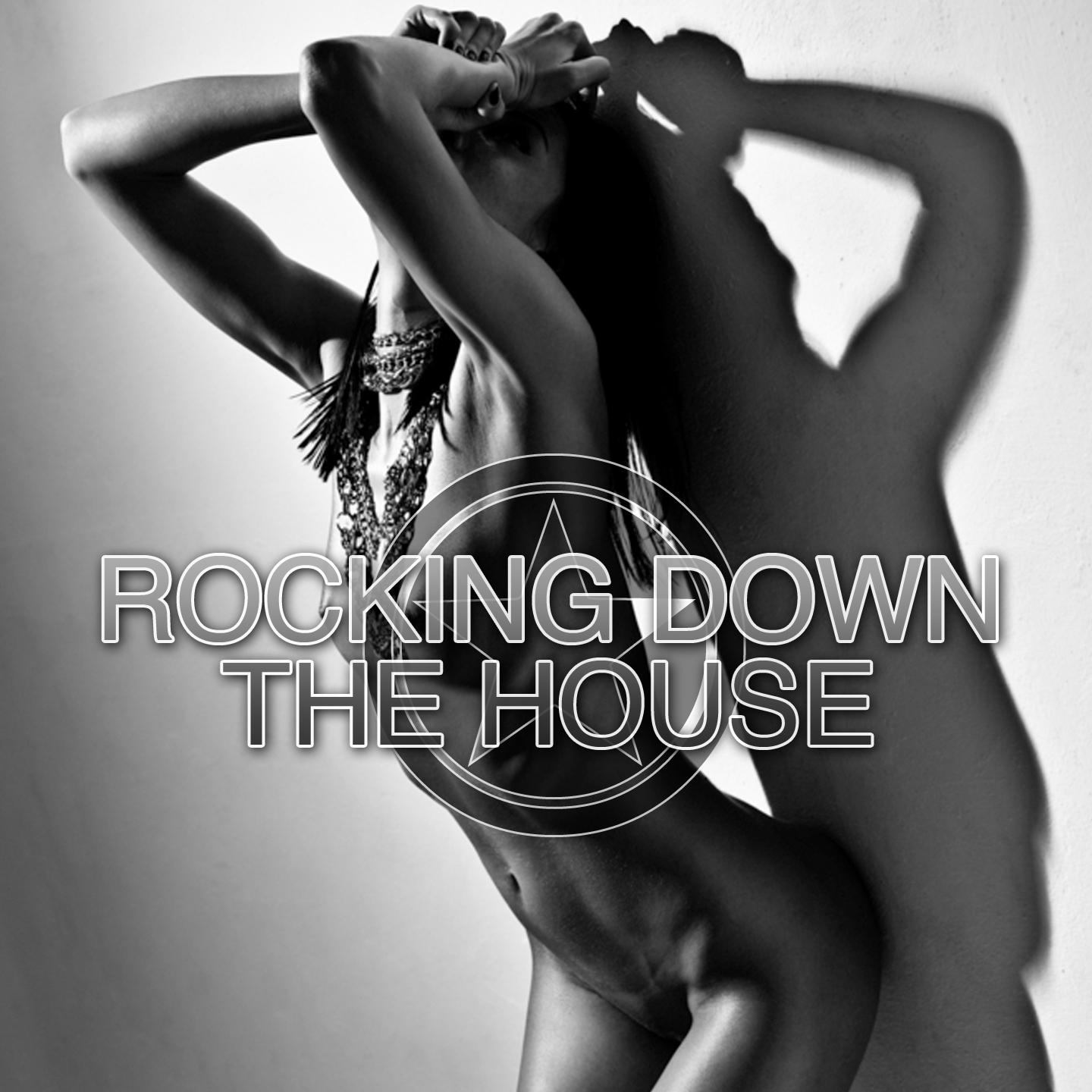 Rocking Down The House - Electrified House Tunes, Vol. 4