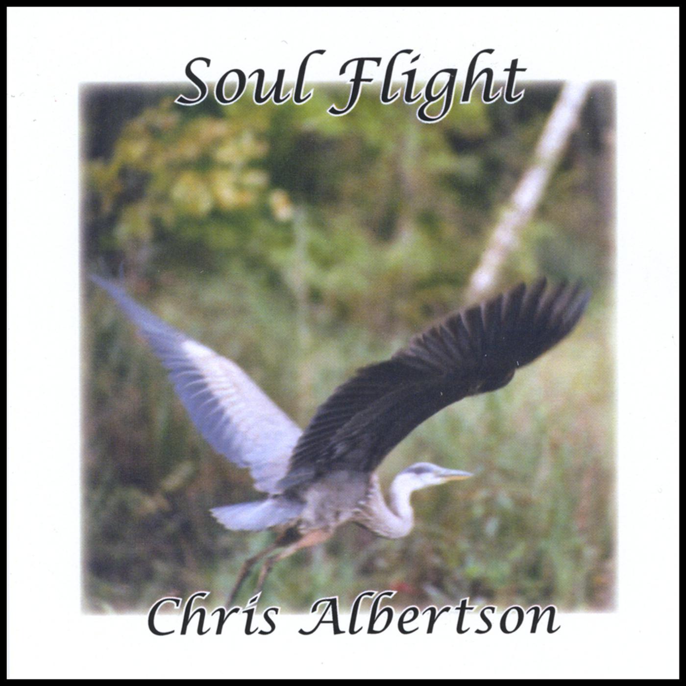 I Don't Look Like Anybody