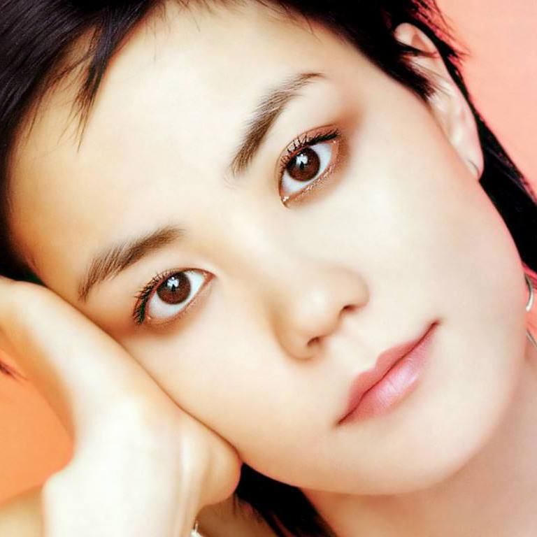 jin chi gang qin yan zou zhuan ji