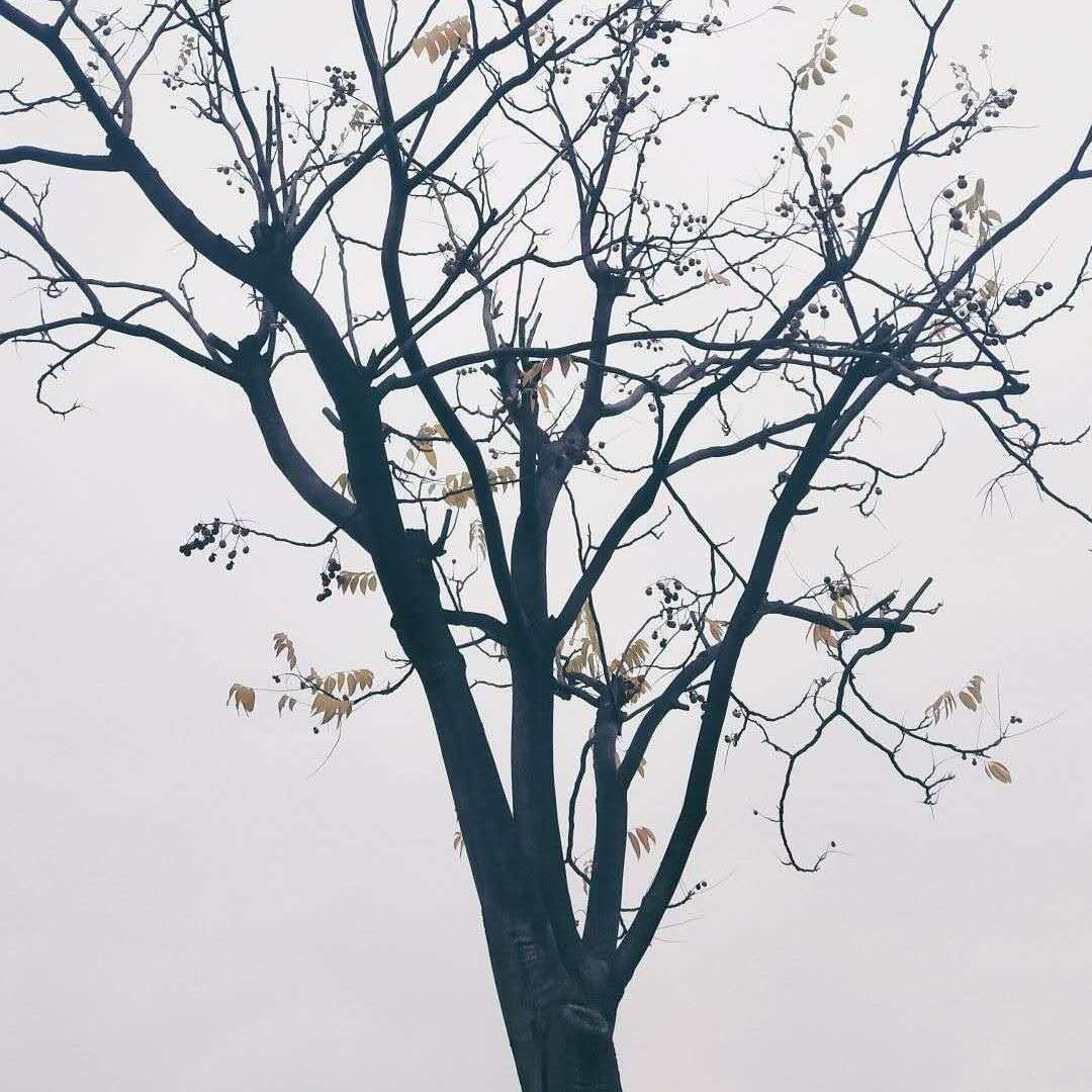 yi shou dong tian de shuo chang