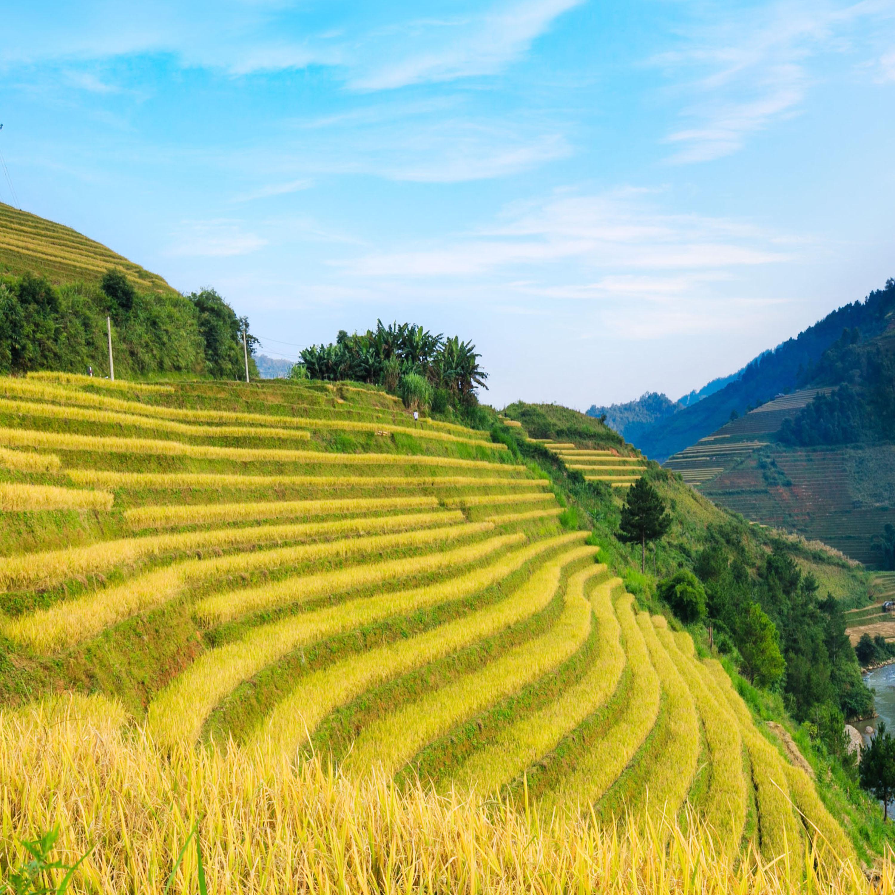 The New Age Style Yoga And Pilates Music For Your Healthy Body And Clear Mind All In The Name Of Healing 14