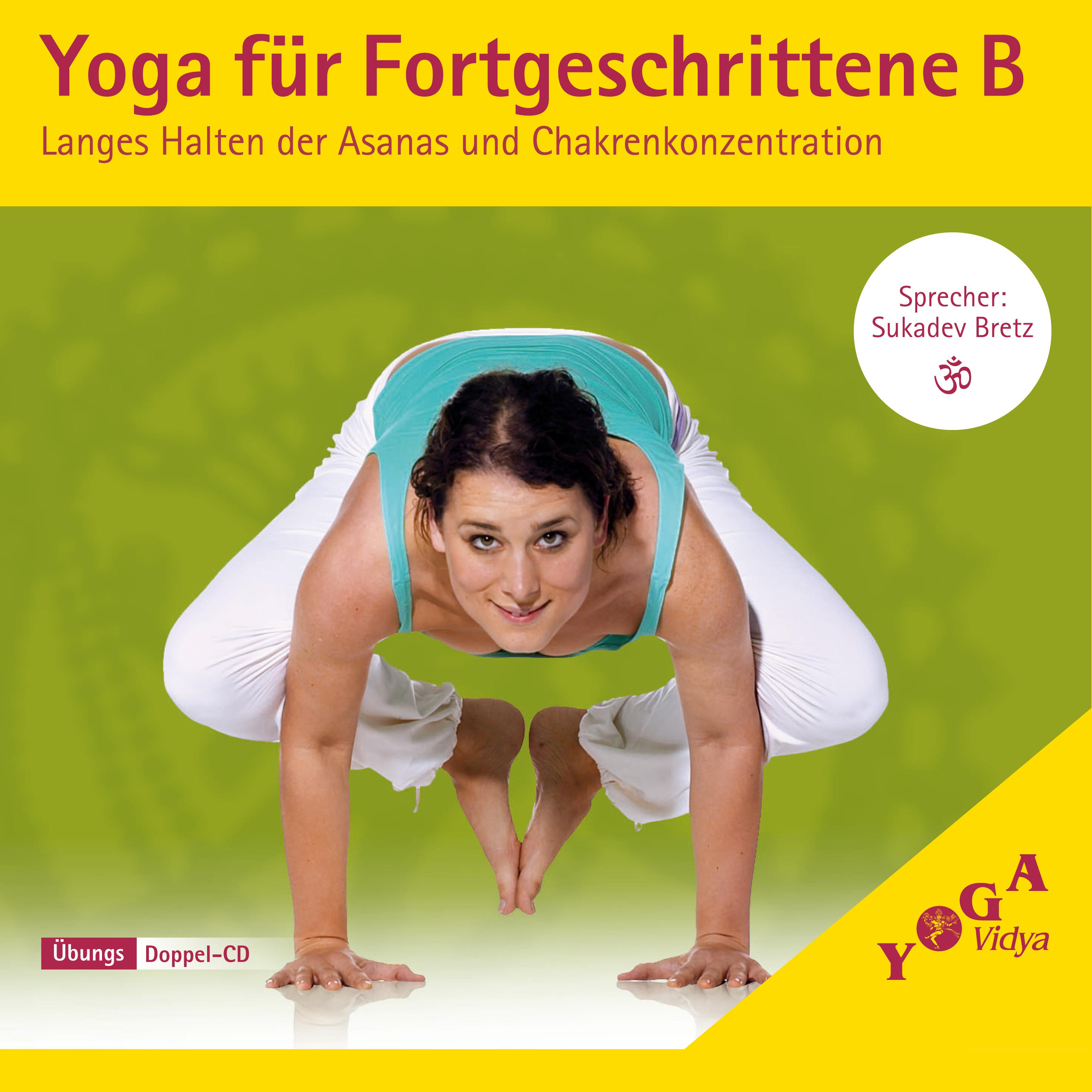 Yoga fü r Fortgeschrittene B Langes Halten der Asanas und Chakrenkonzentration