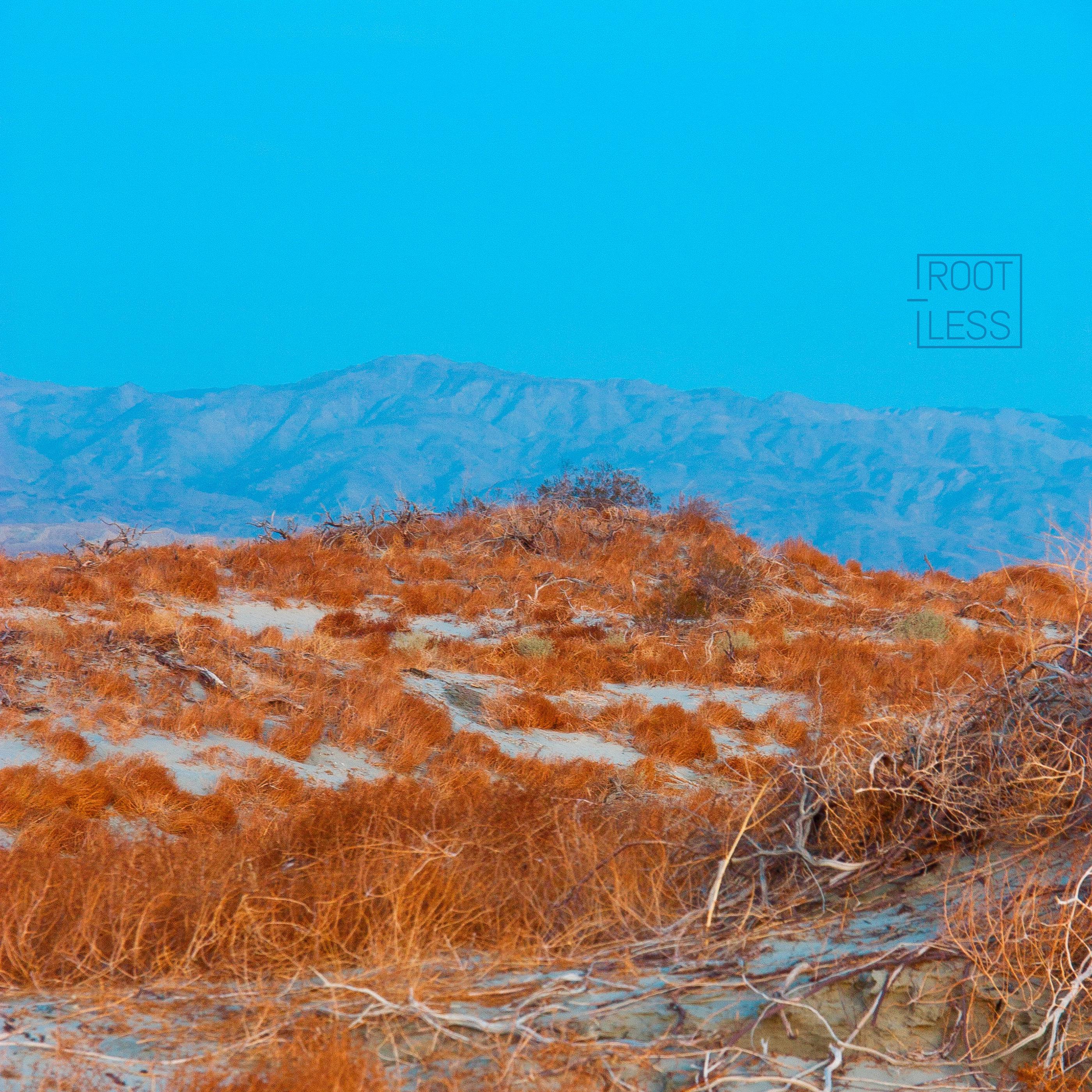 all that's left is a desert