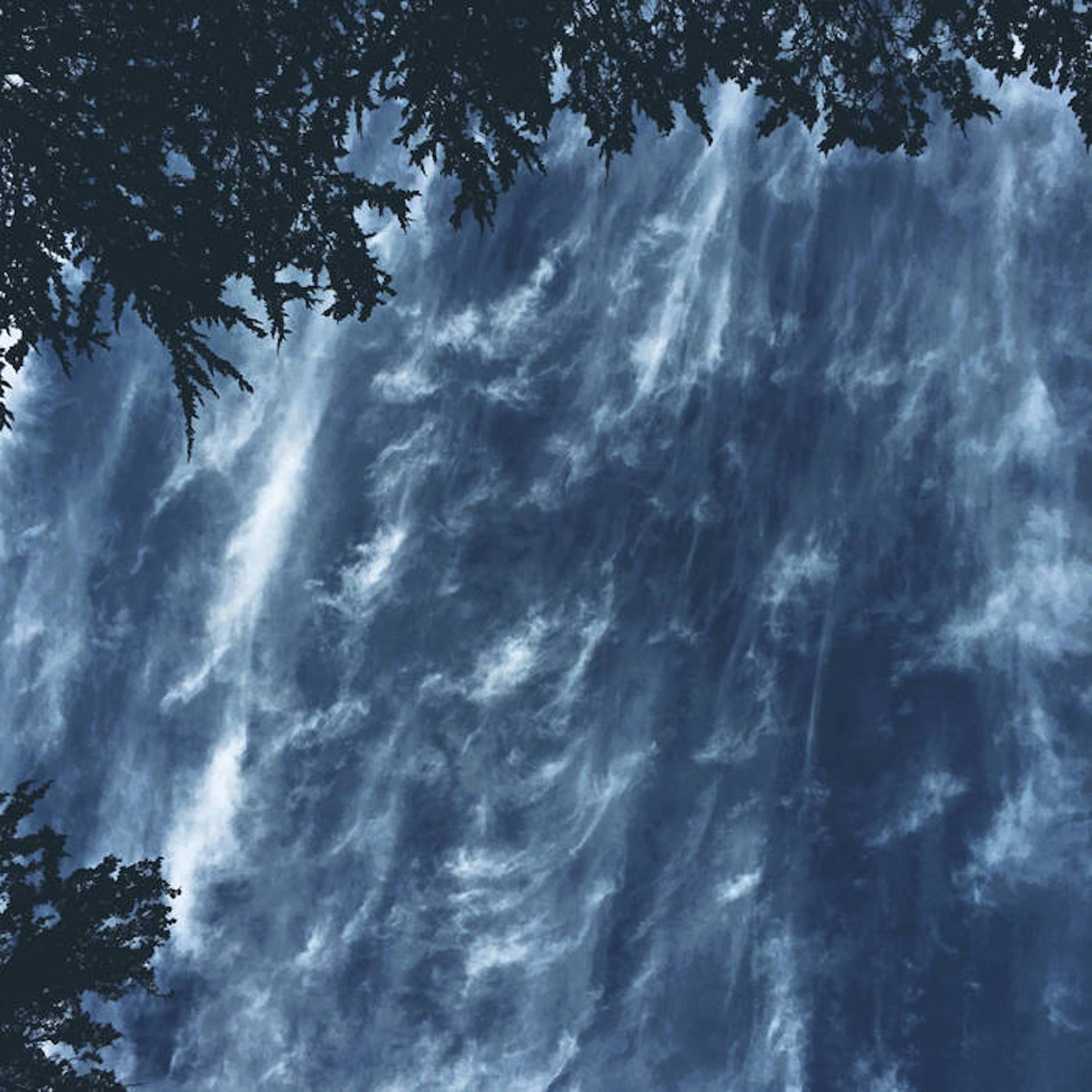 Gathering On The Grass