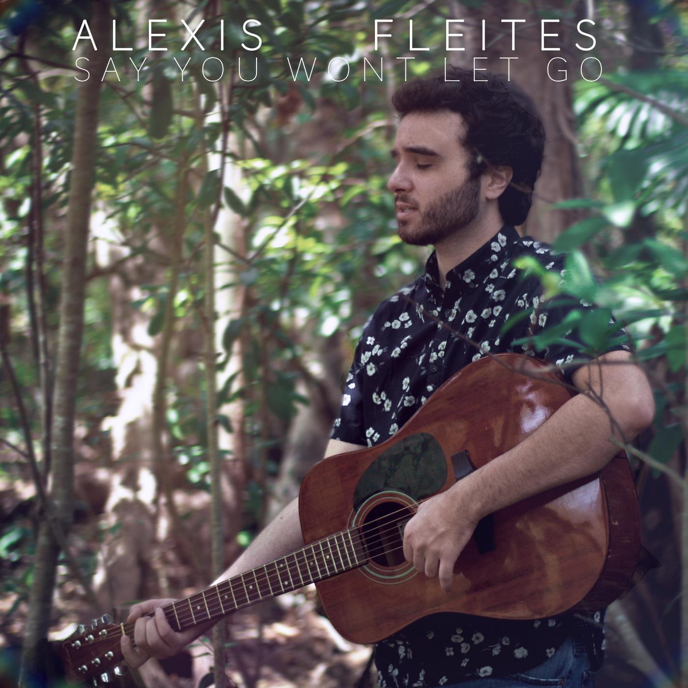 Say You Won't Let Go