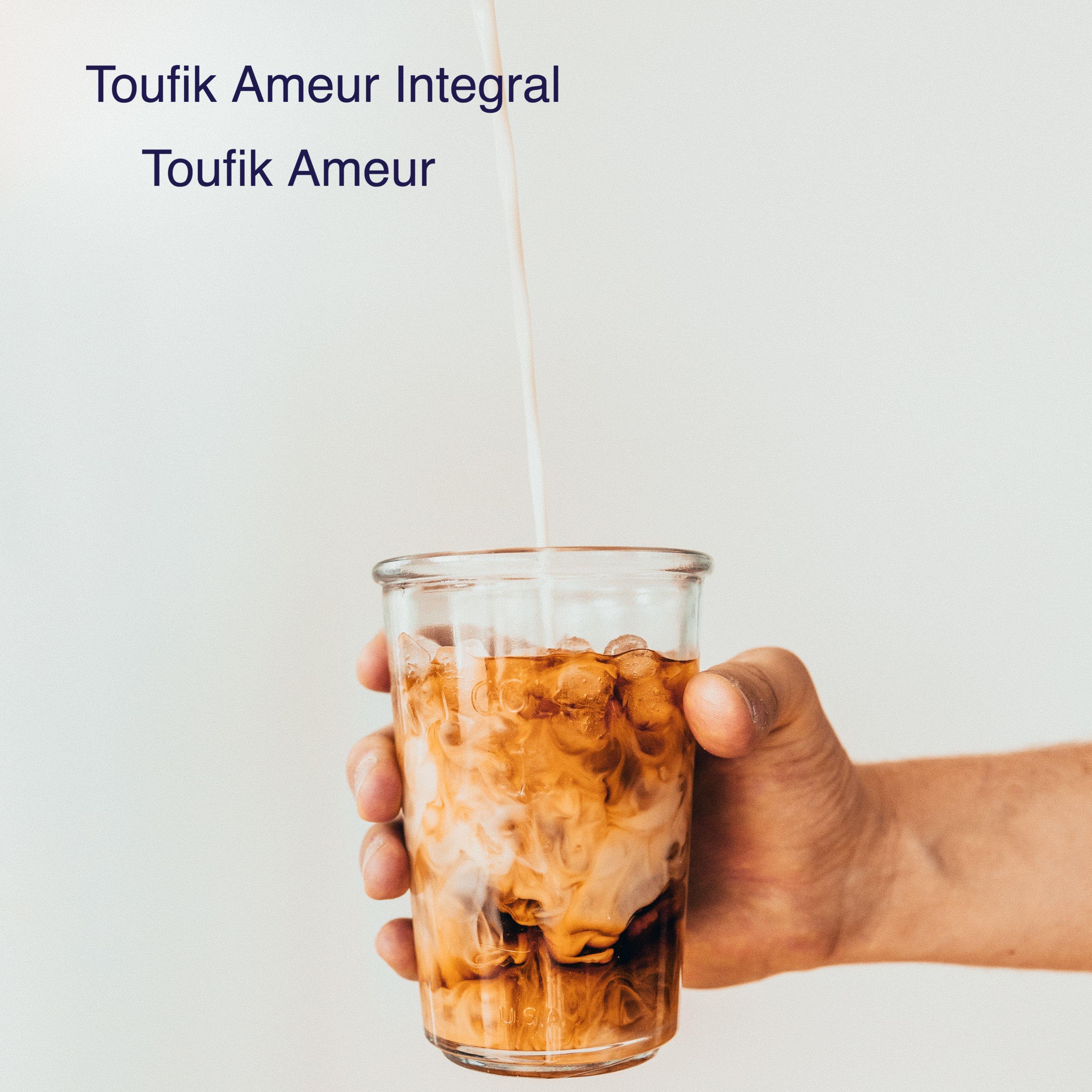 Toufik Ameur67