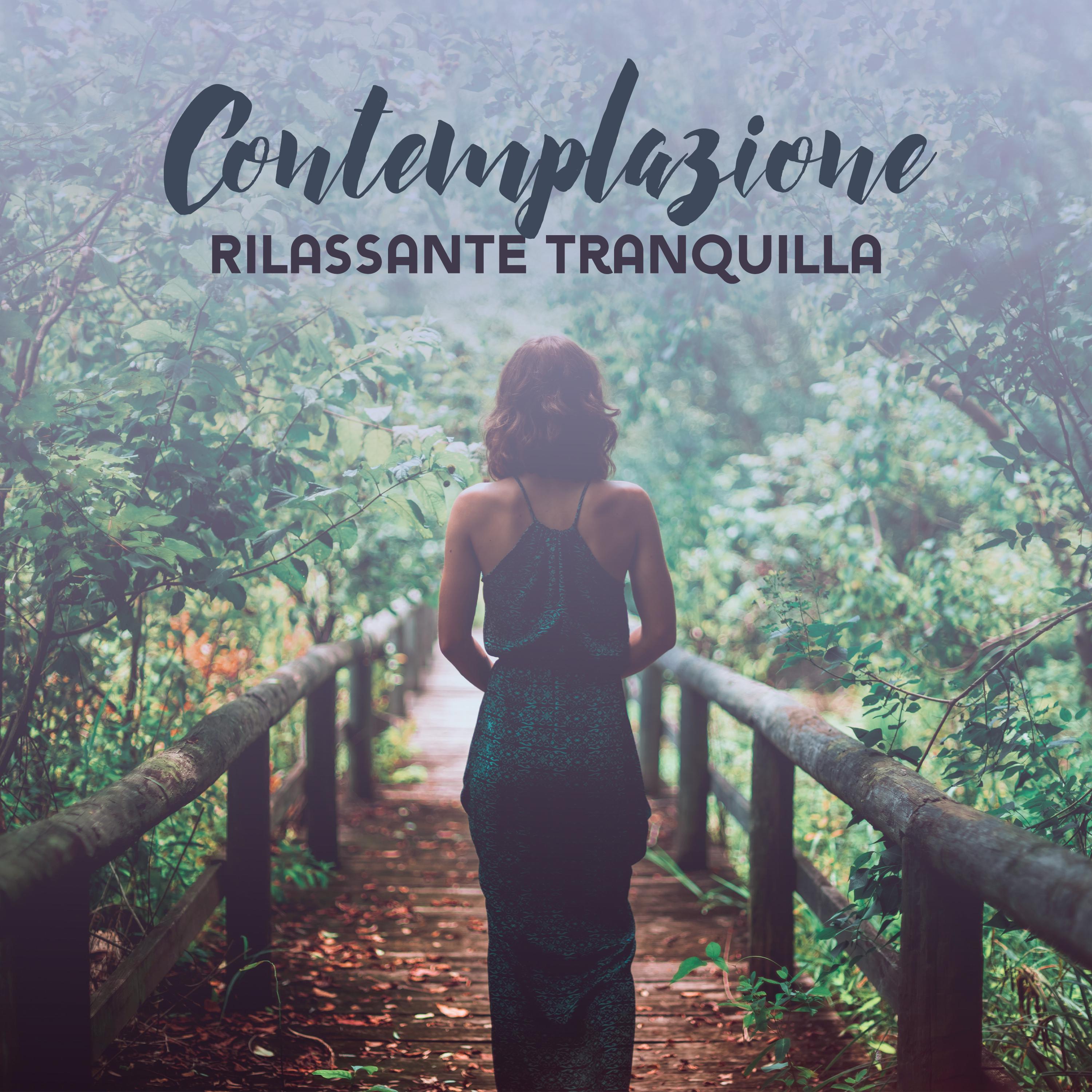 Contemplazione Rilassante Tranquilla - Musica di Terapia Naturale 2019