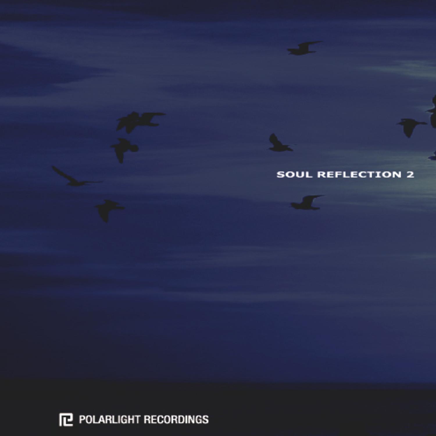 V/A -Soul Reflection 2