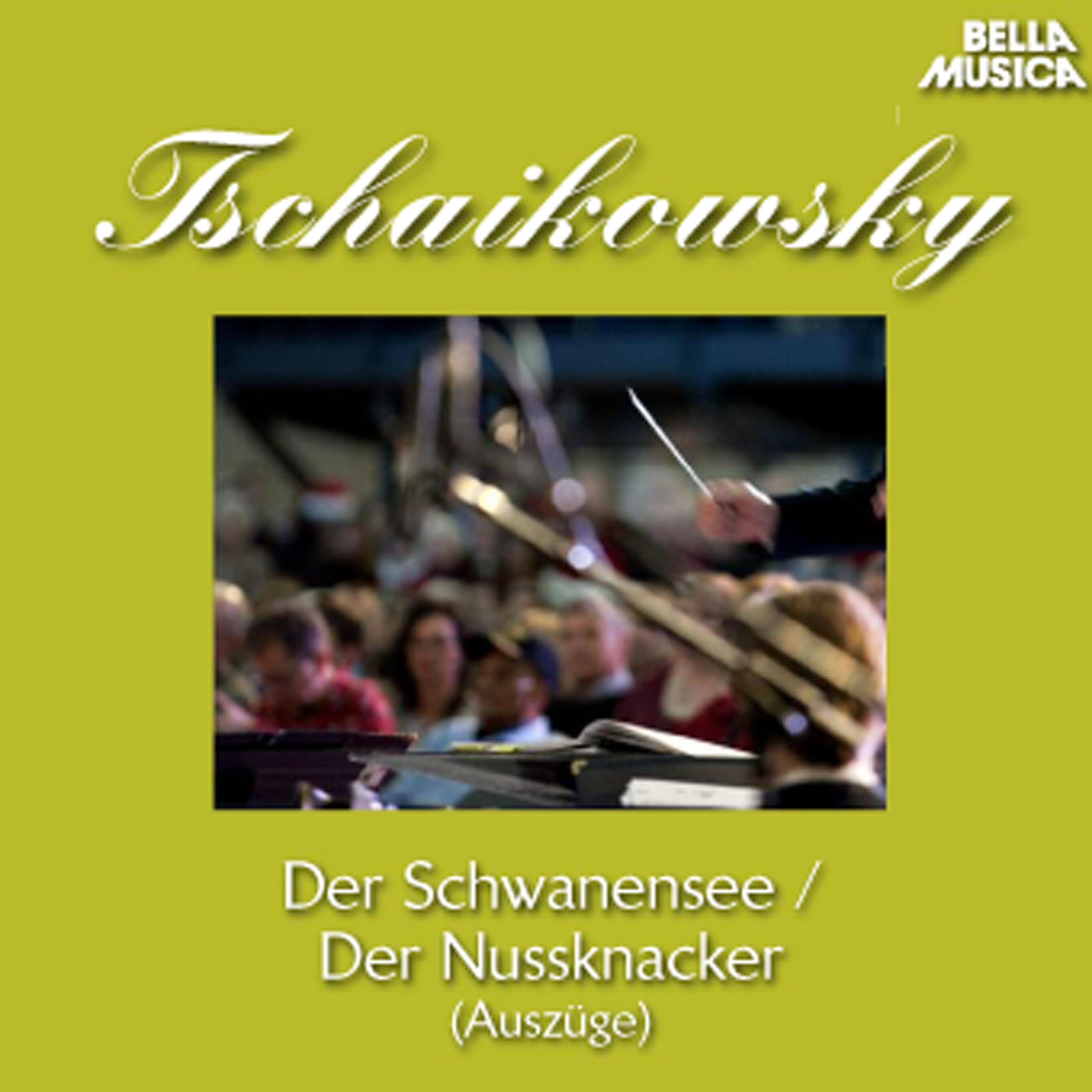 Schwanensee fü r Orchester und Violine, Op. 20 A: No. 6, Ungarischer Tanz