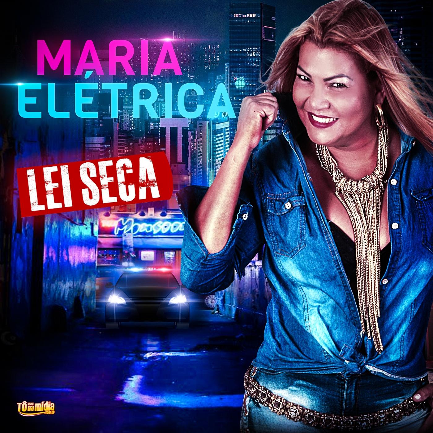 Lei Seca