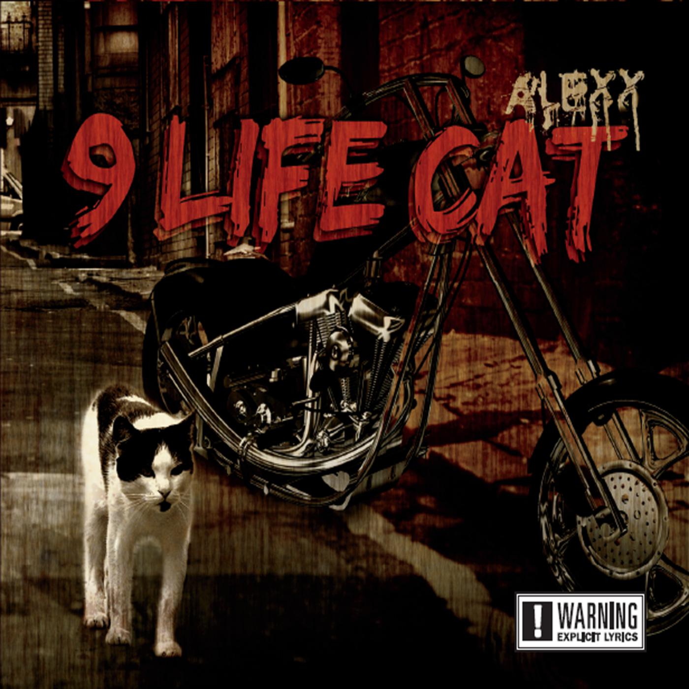 9 Life Cat