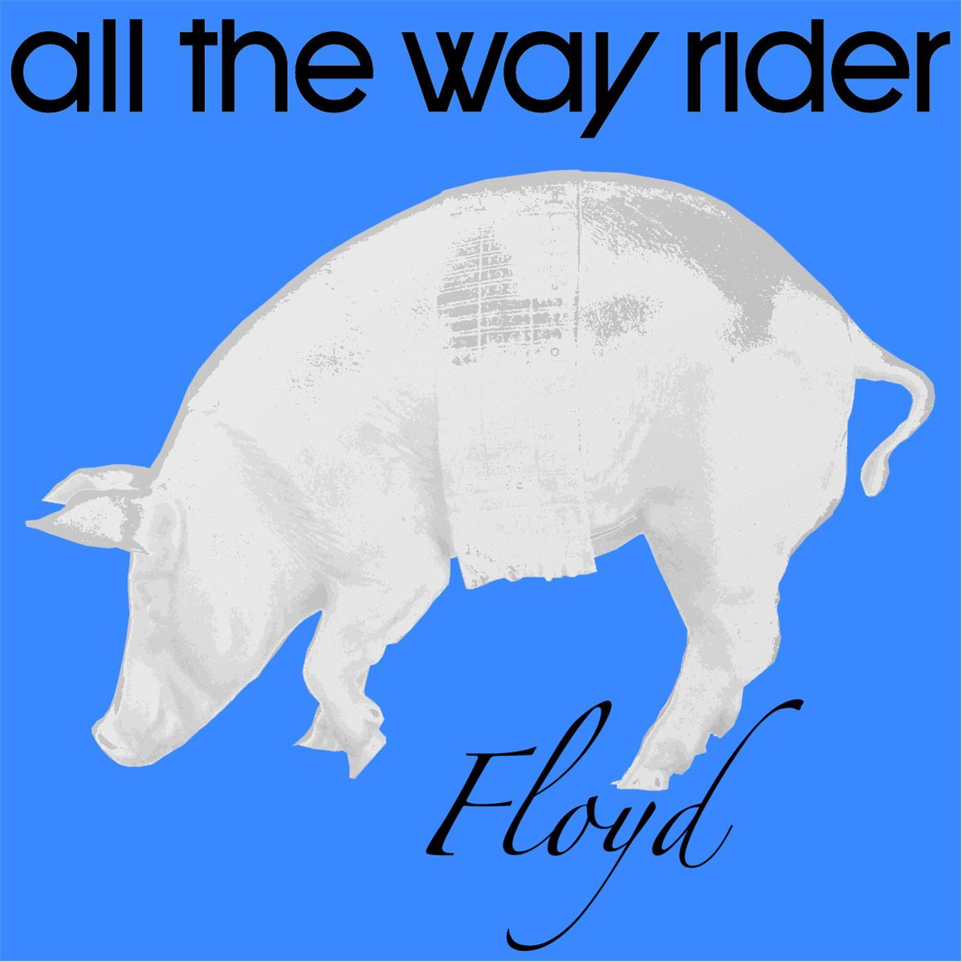 Proper Way to Say **** You