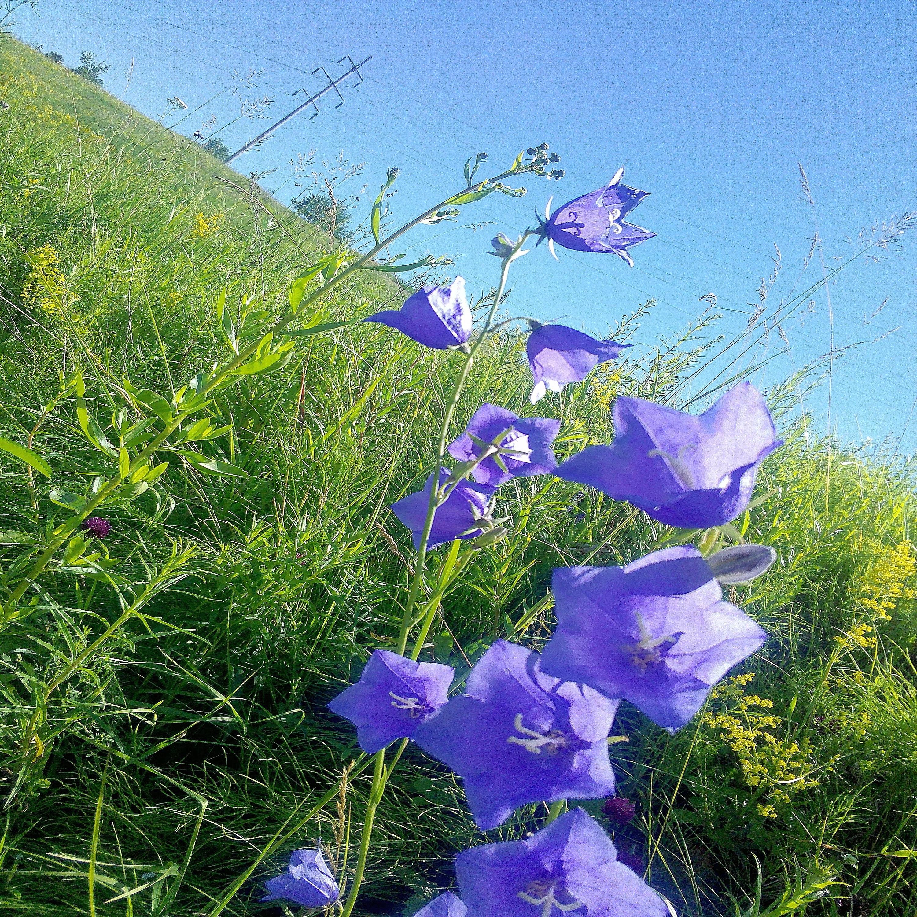 Песня свидание. Слушать песню в июле нежные. Слушать песню в июле нежные. Лето. Свидание музыка глаз.
