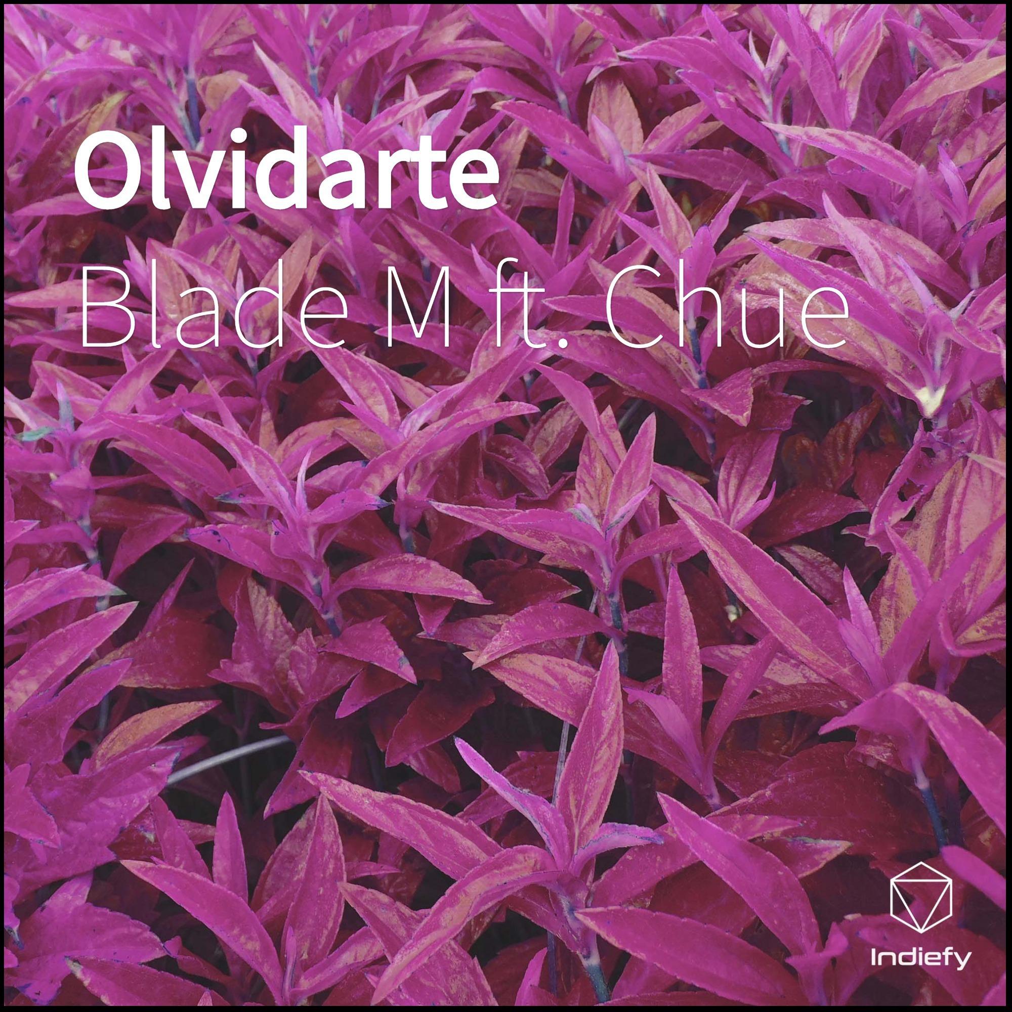 Olvidarte