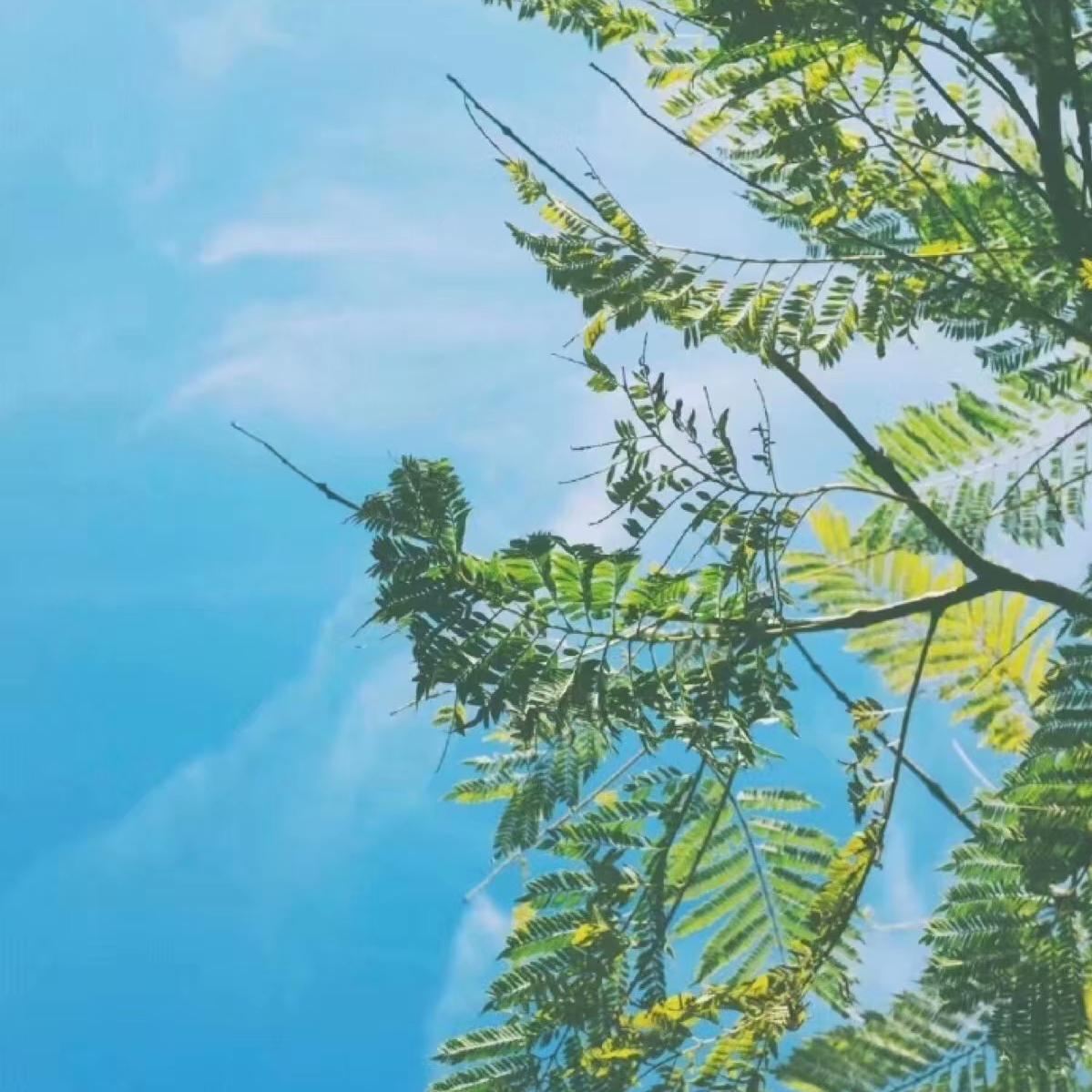 ri ju wan mei shi jie pian wei qu