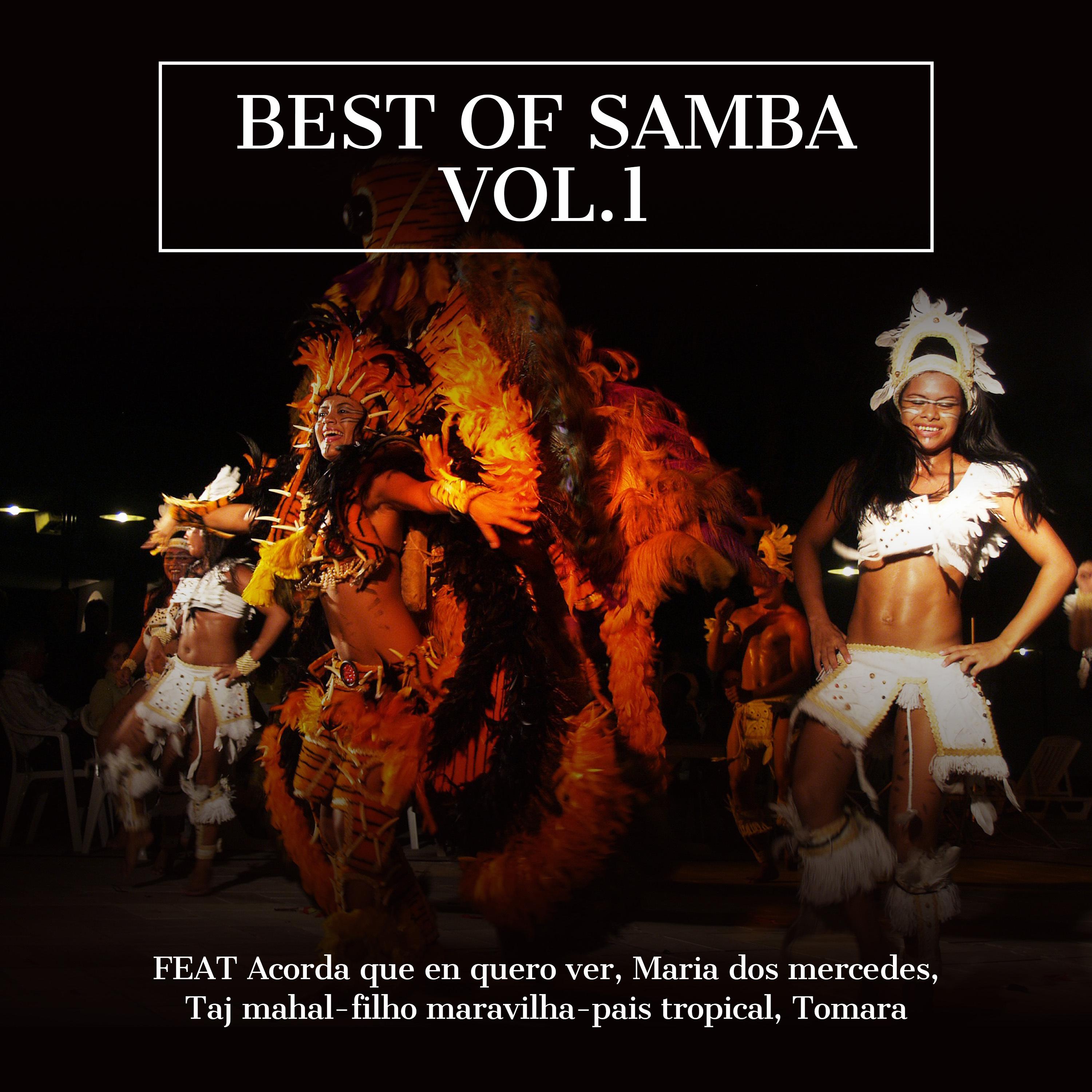 Best Of Samba Vol. 1