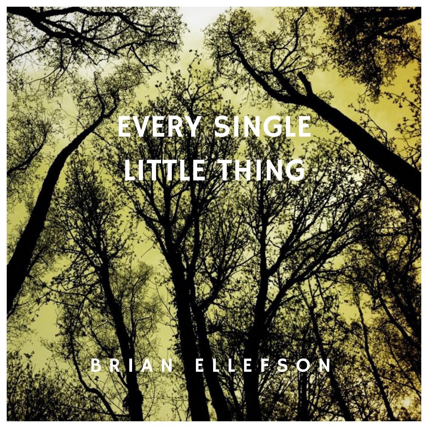 Don't Put Me Back on the Shelf