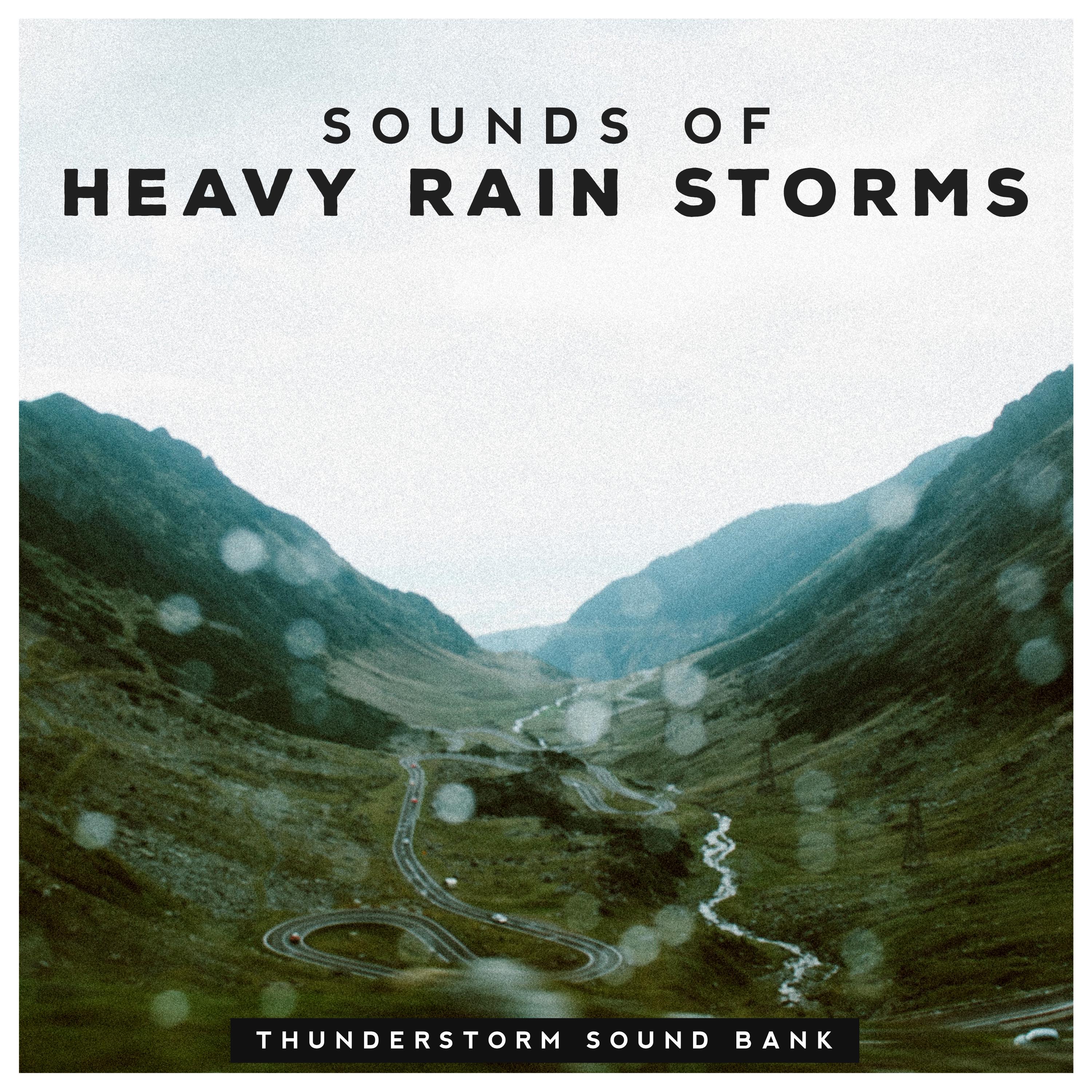 View From a Rainy Window