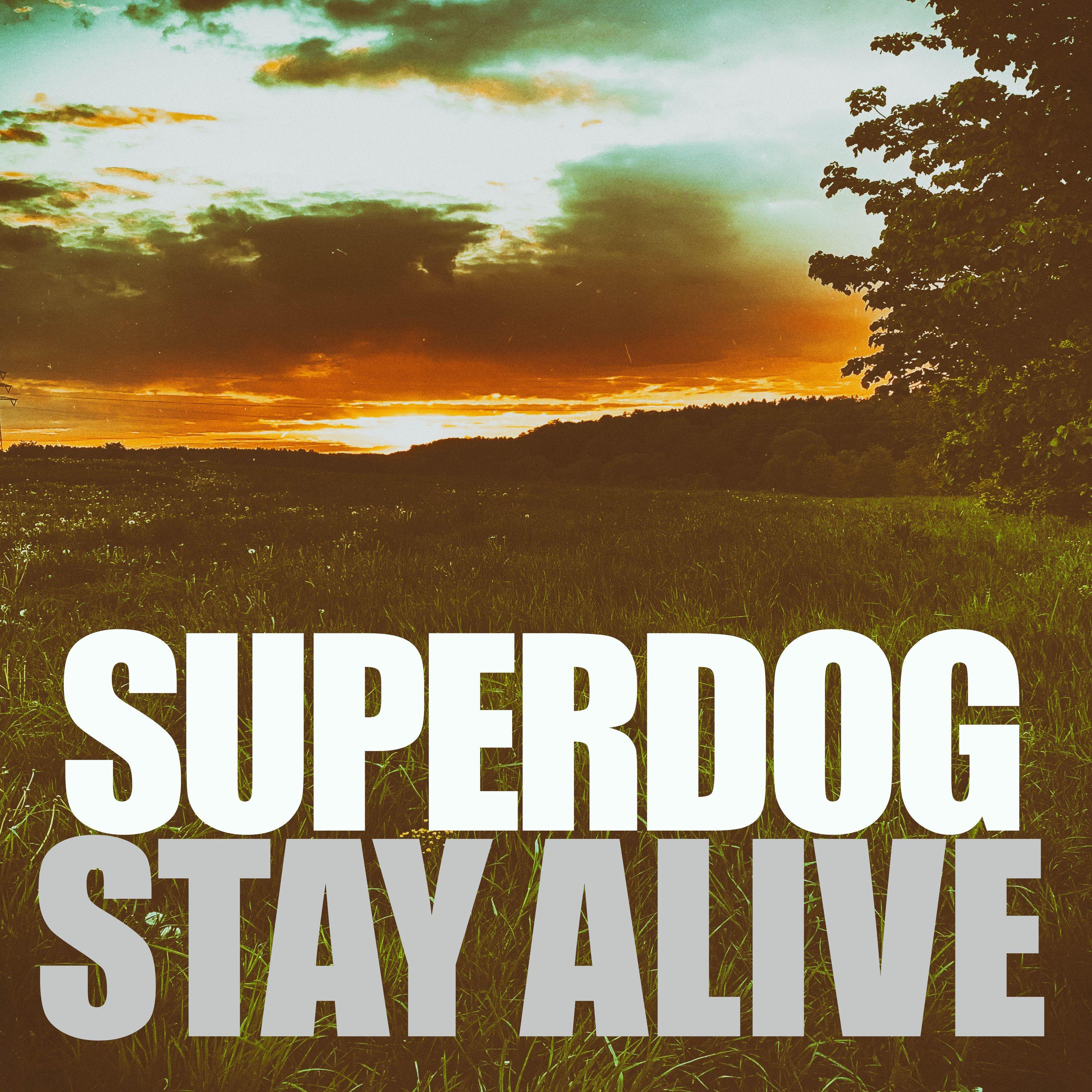 Stay Alive