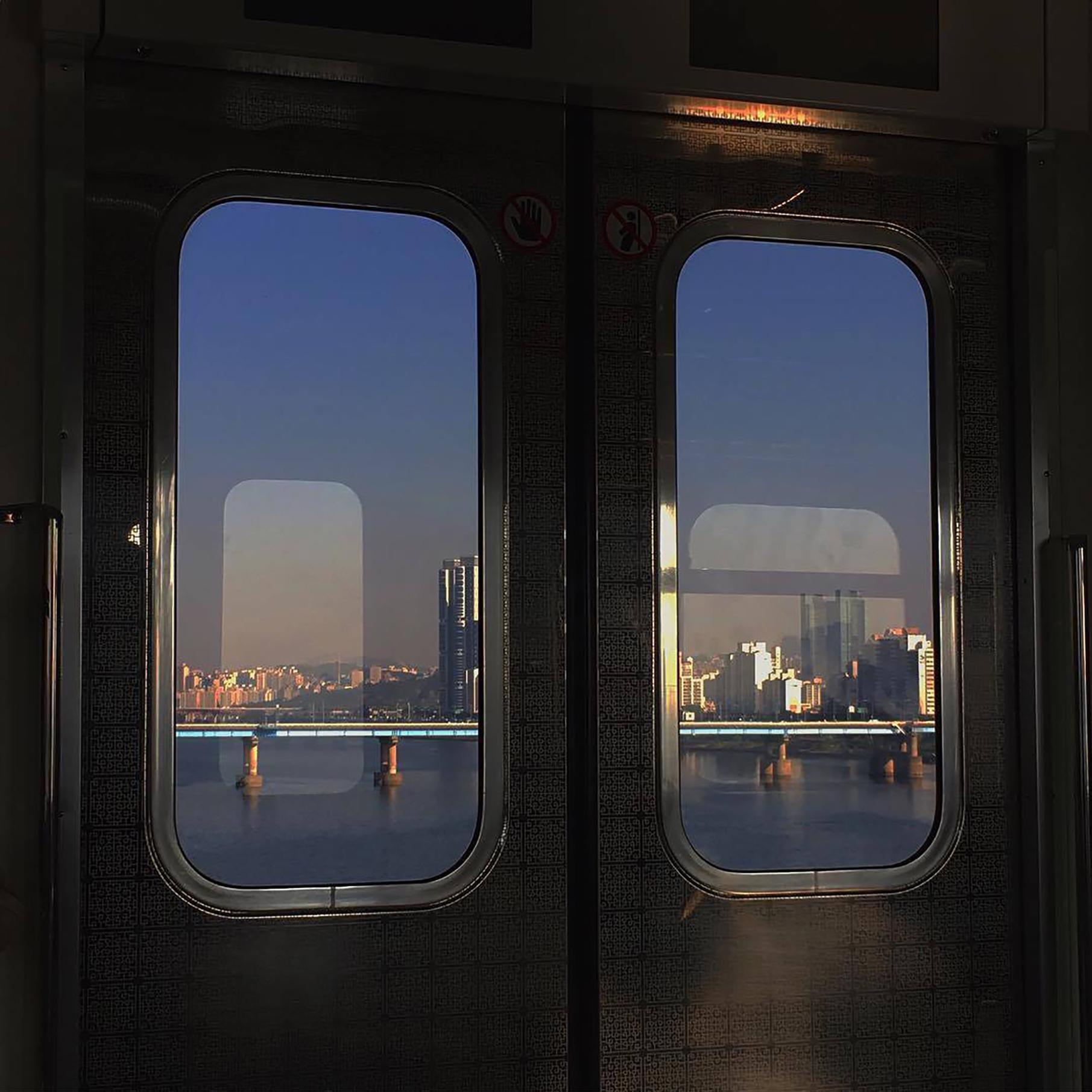 wild cheers xin tong bb