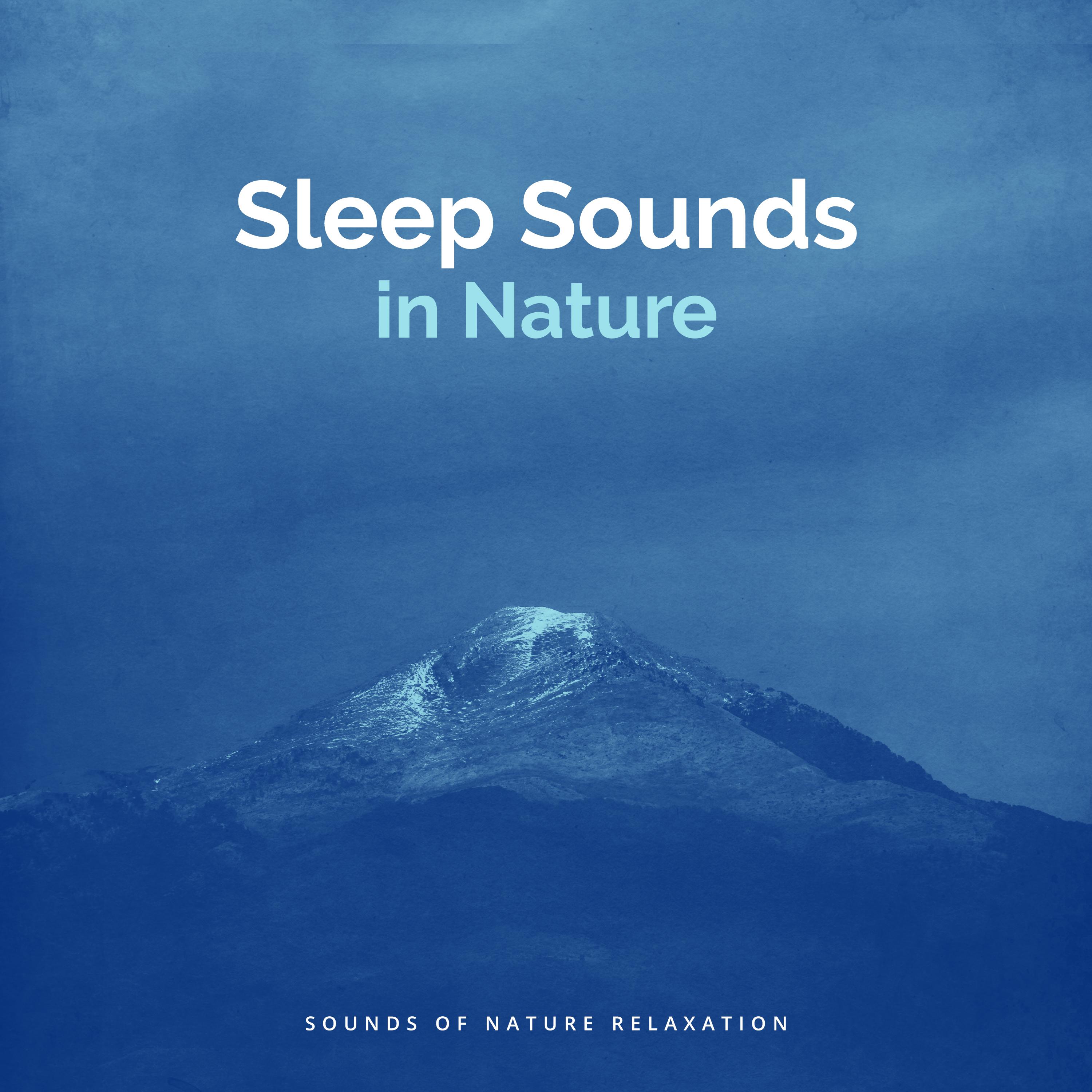Sleep Sounds in Nature