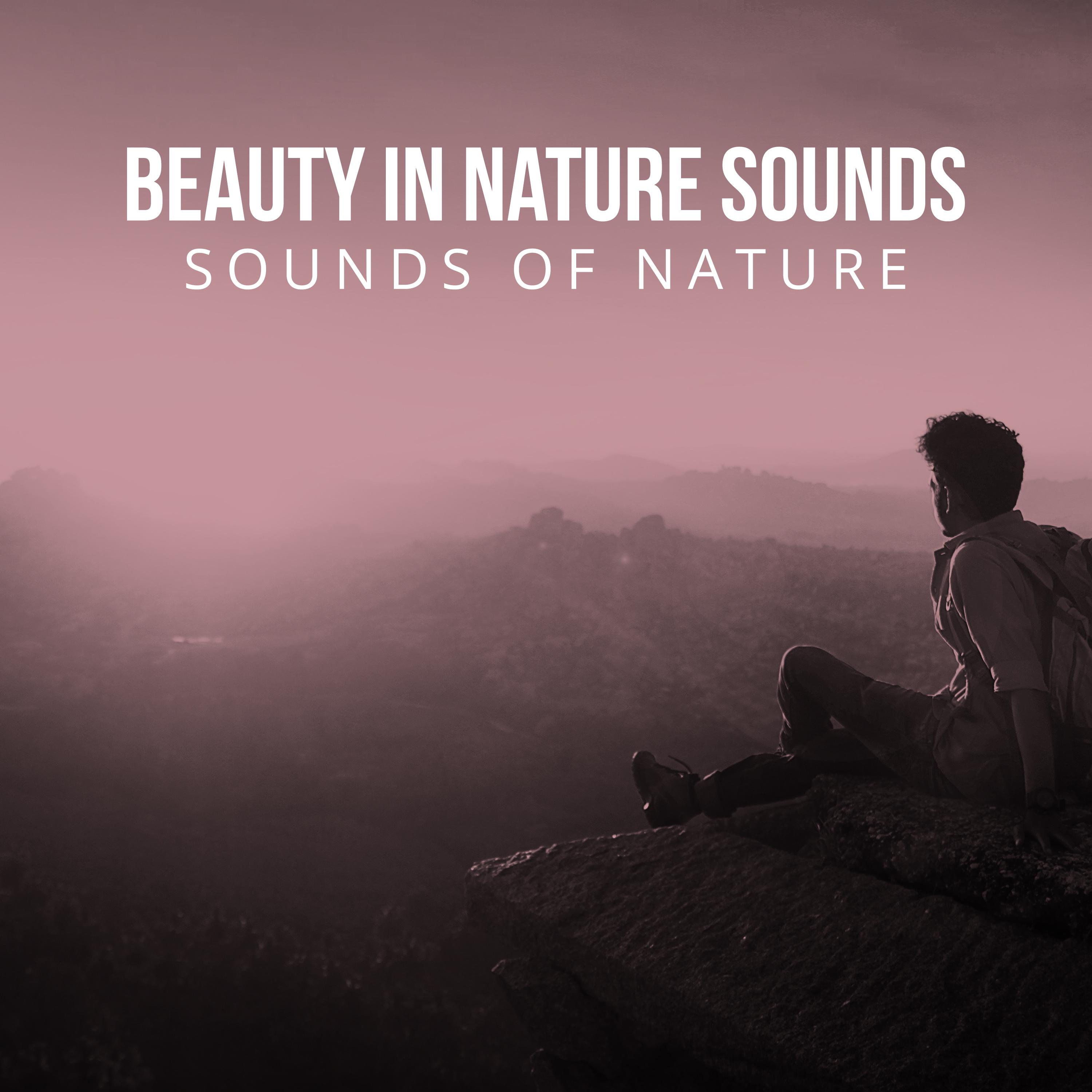 Beauty in Nature Sounds