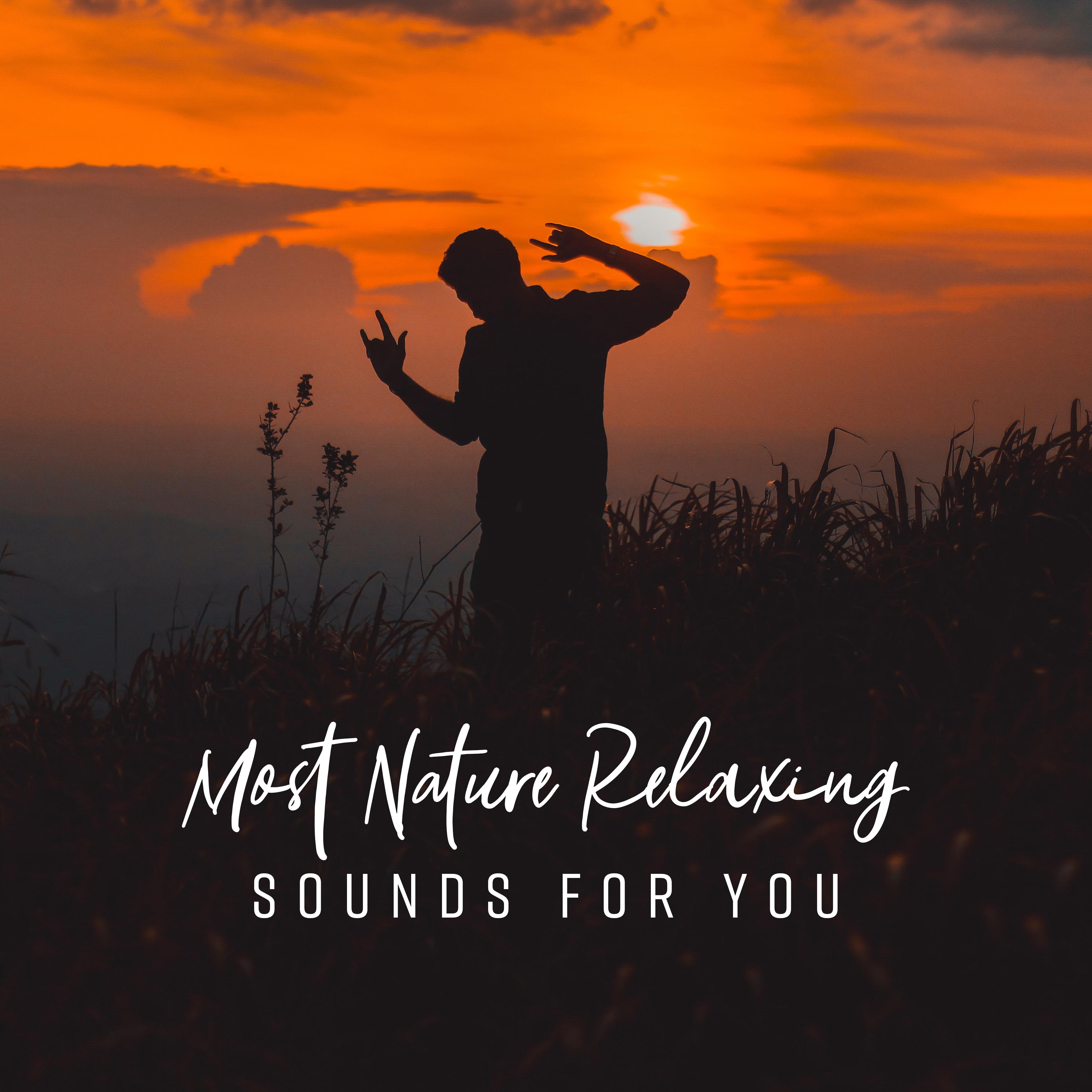 Most Nature Relaxing Sounds for You  Compilation of Nature 2019 New Age Music, Total Relaxation Sounds, Melodies to Calm Down, Stress Relief  Rest