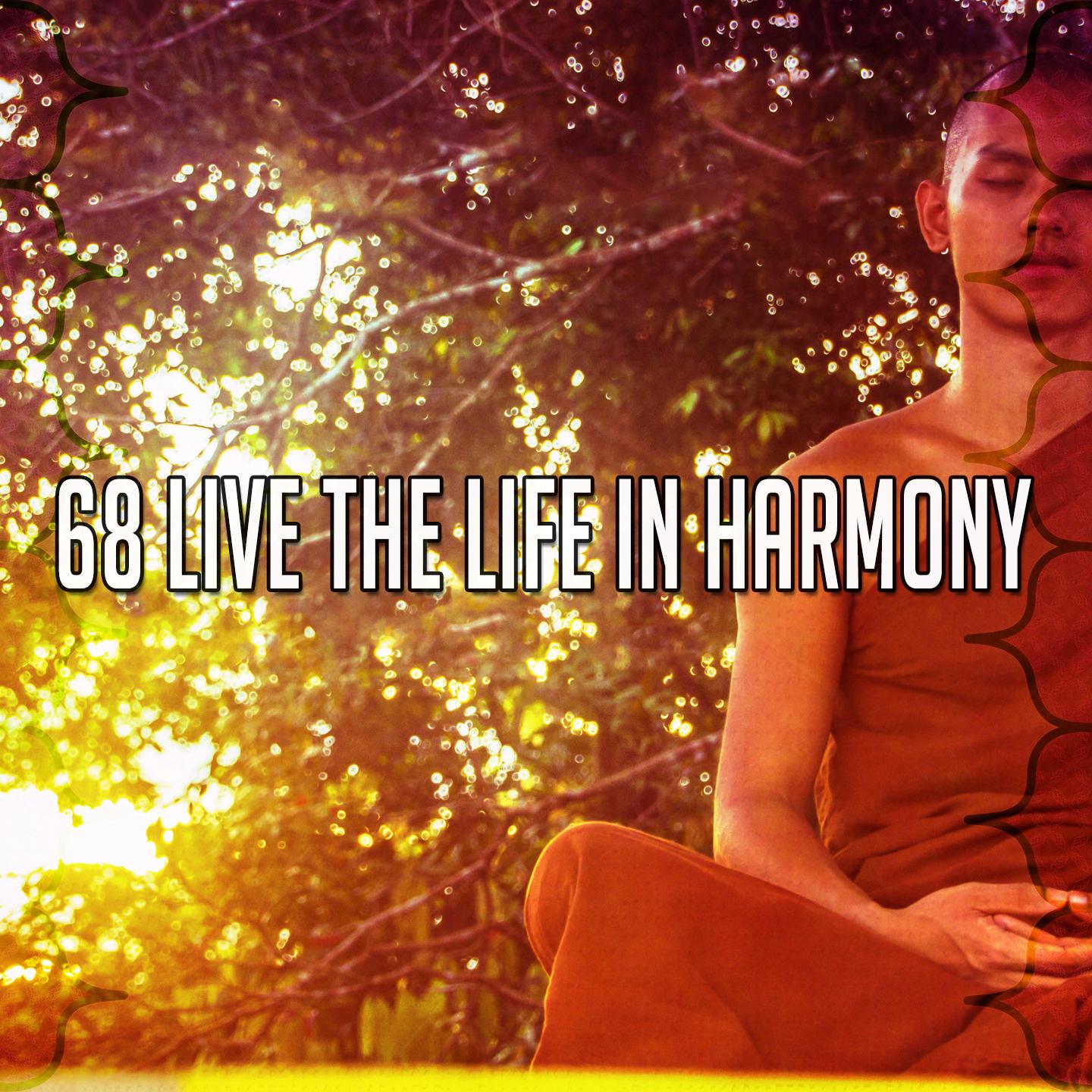 68 Live the Life In Harmony