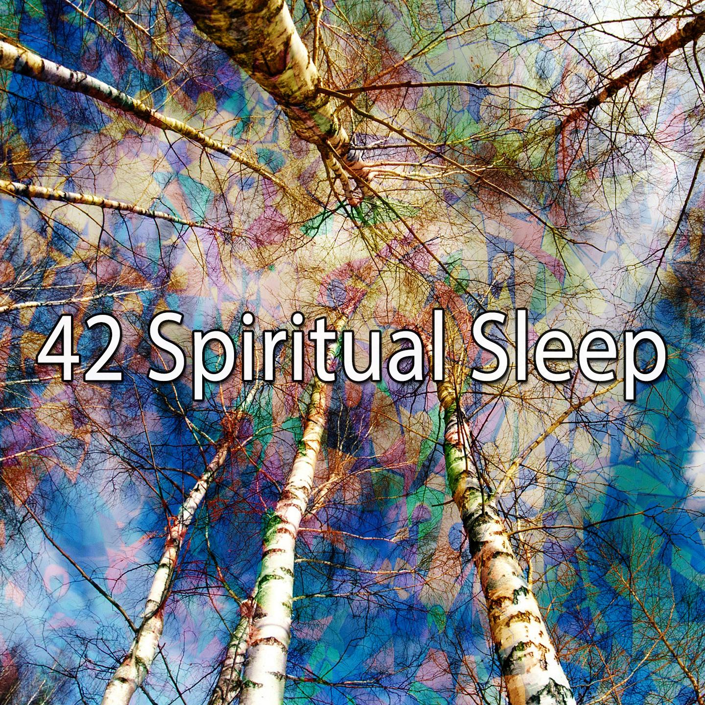 42 Spiritual Sleep