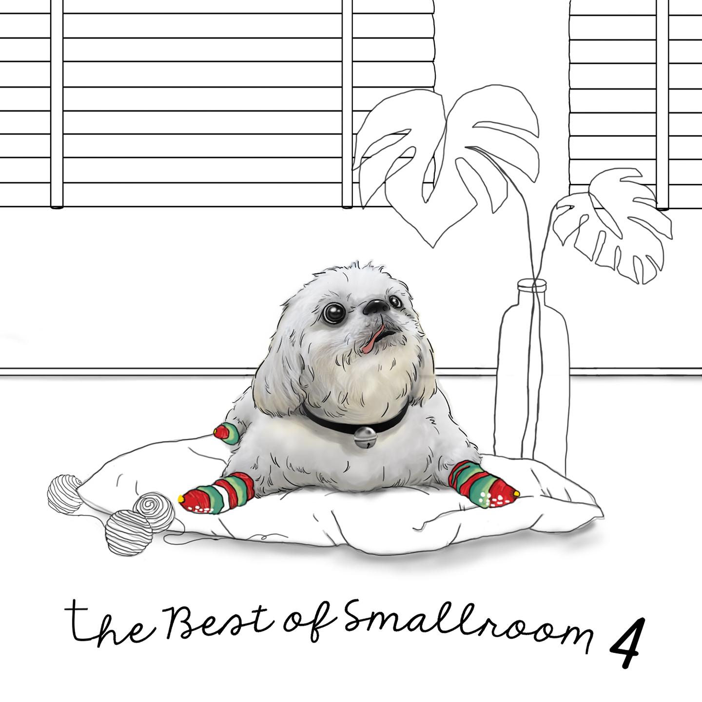 The Best Of Smallroom Vol. 4