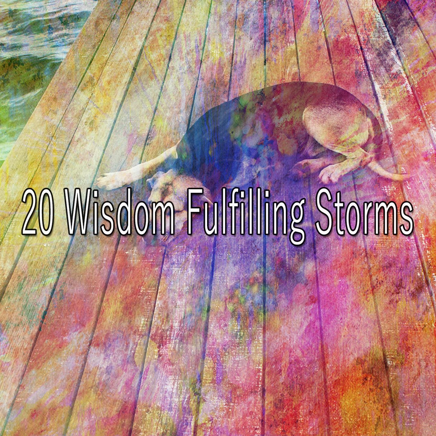 20 Wisdom Fulfilling Storms
