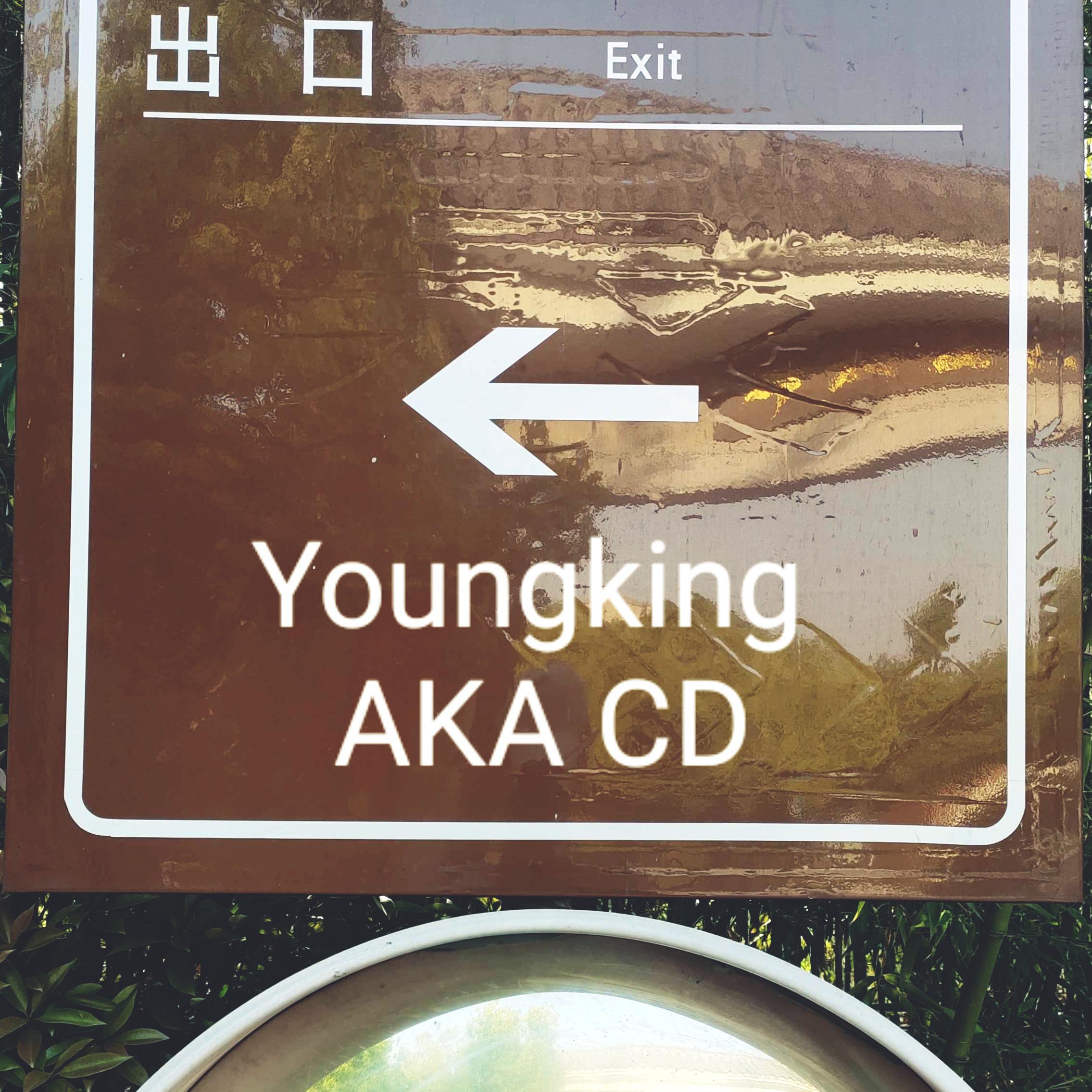 wo jue ding cong jin wang hou bu hui zai pin jin quan li wei ni