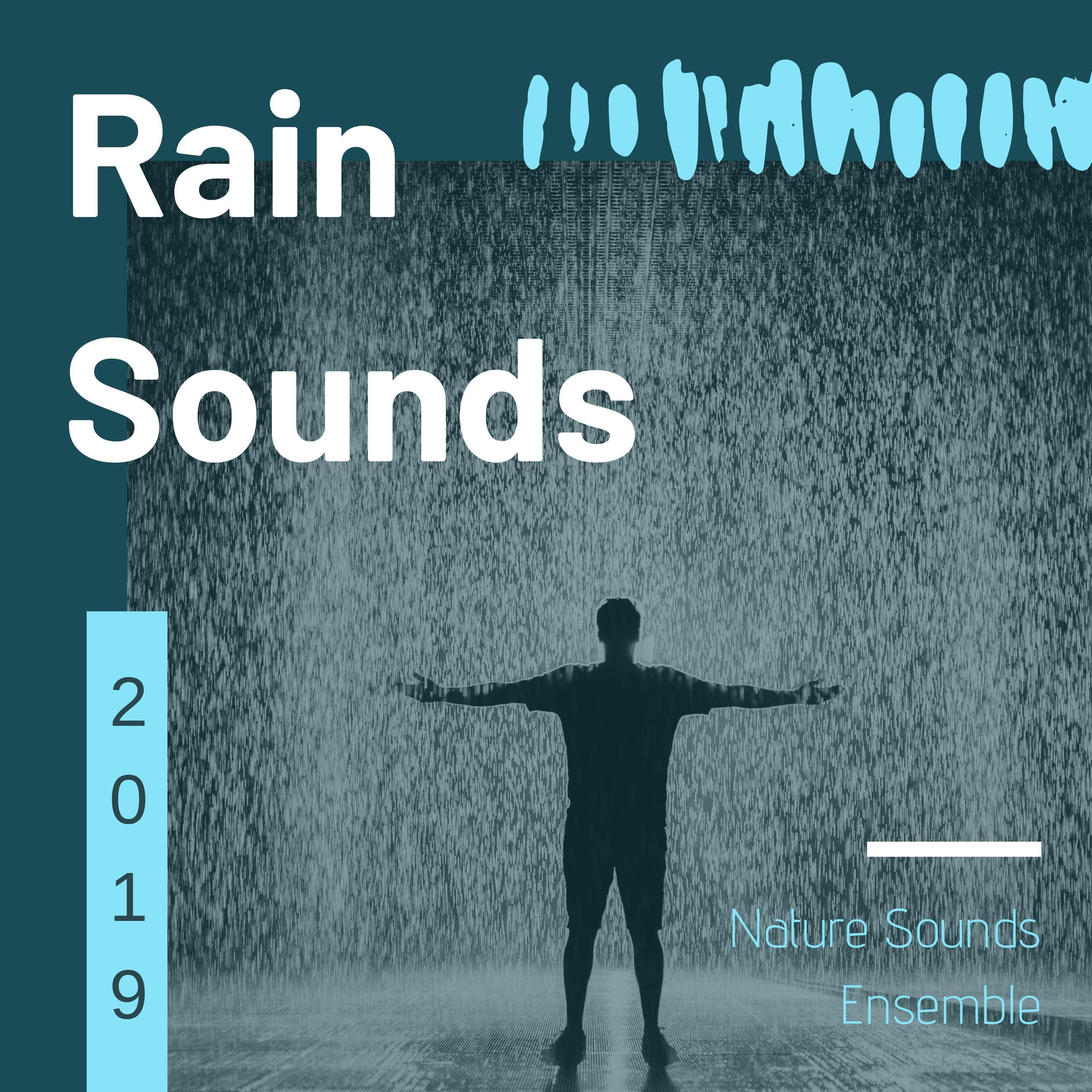 Rain Sounds 2019 - Nature Sounds Ensemble