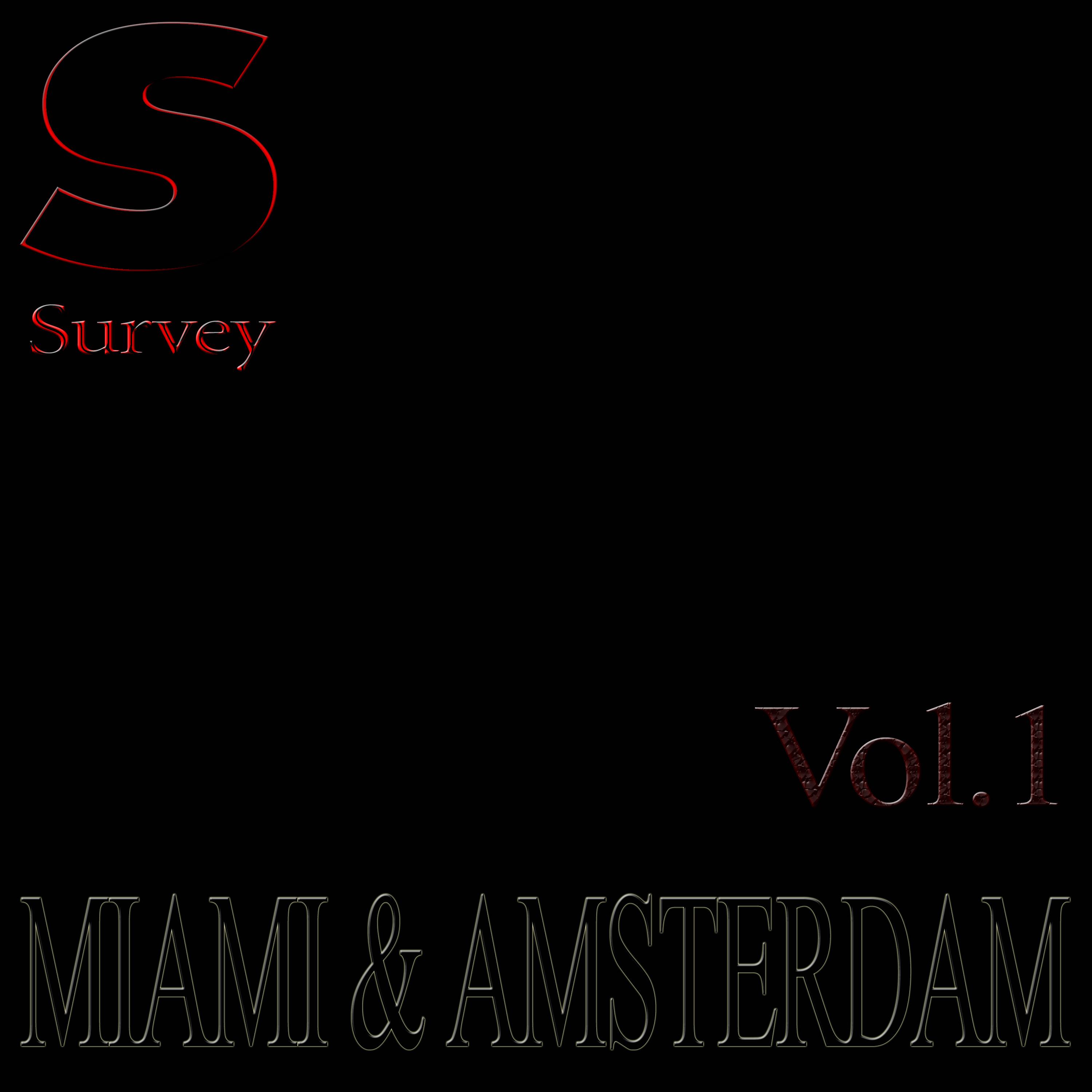 MIAMI & AMSTERDAM, Vol.1