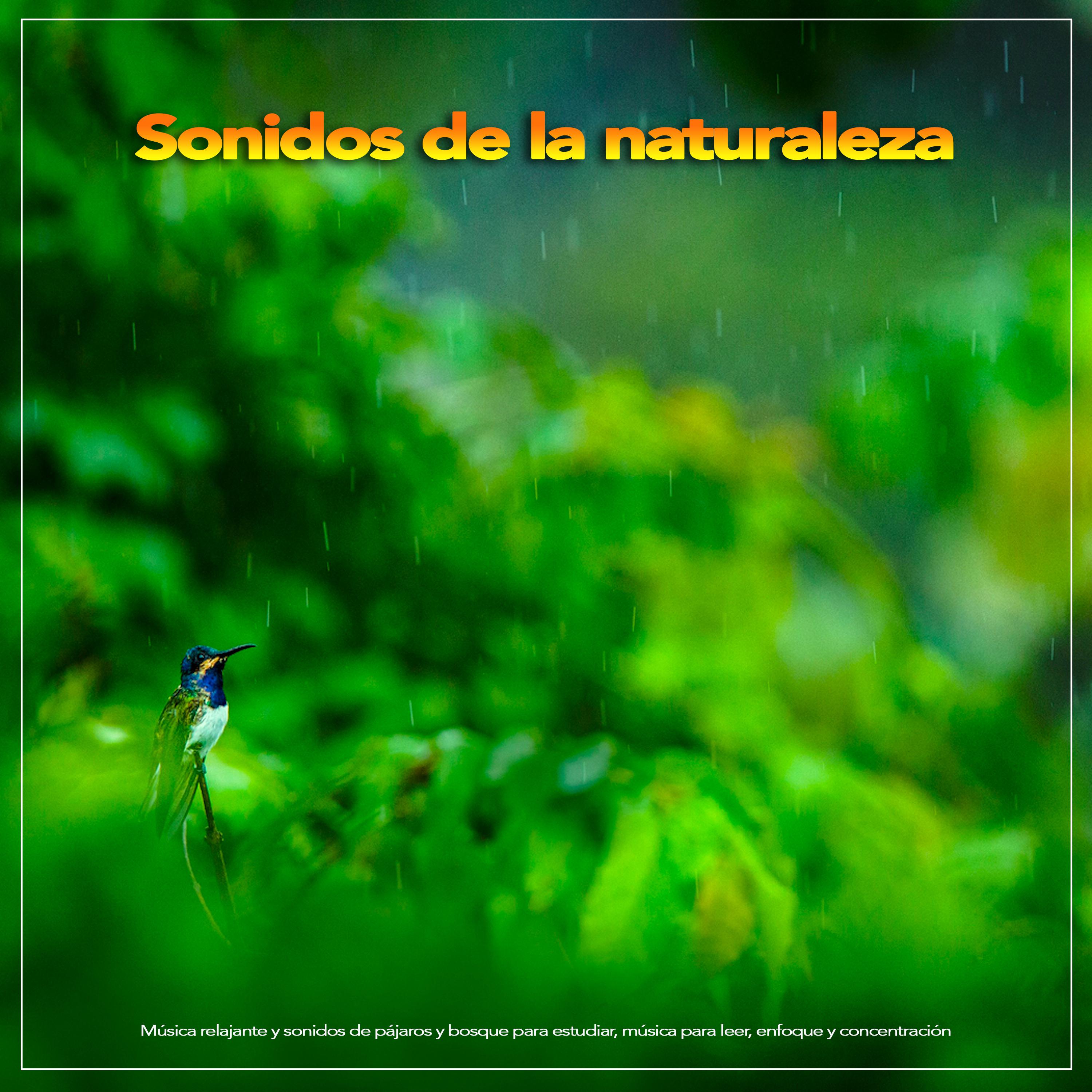 Sonidos de la naturaleza para dormir
