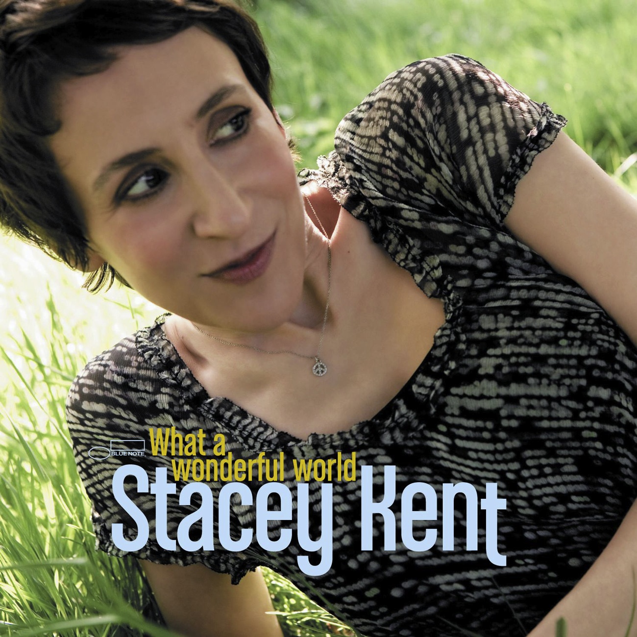 What A Wonderful World (Radio Edit)