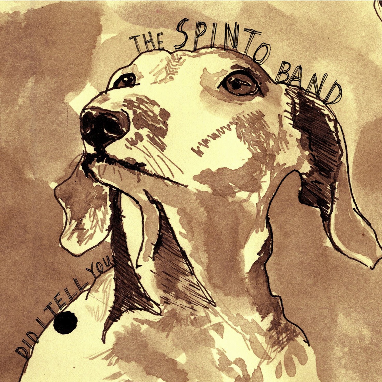 Did I Tell You (Demo)