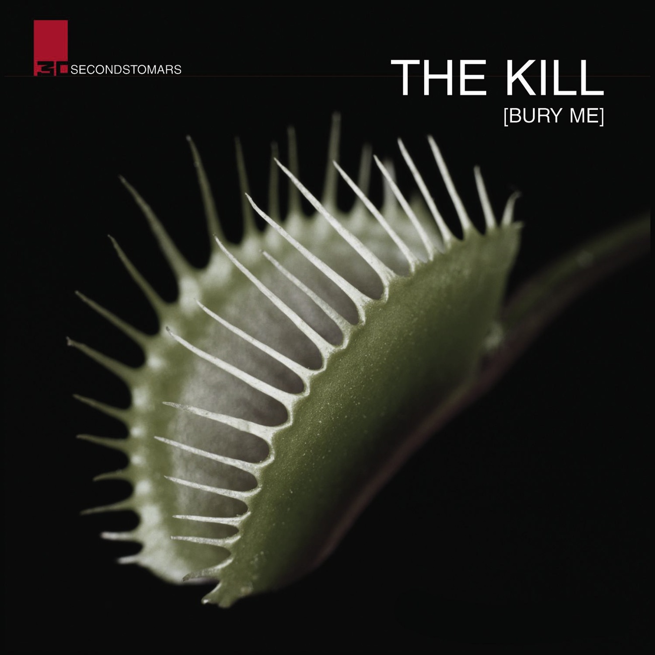 The Kill [Bury Me]