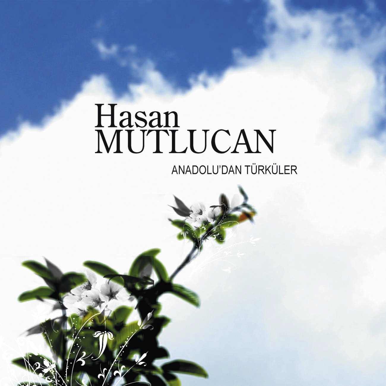 Gokyuzunde Boluk Boluk Turnalar