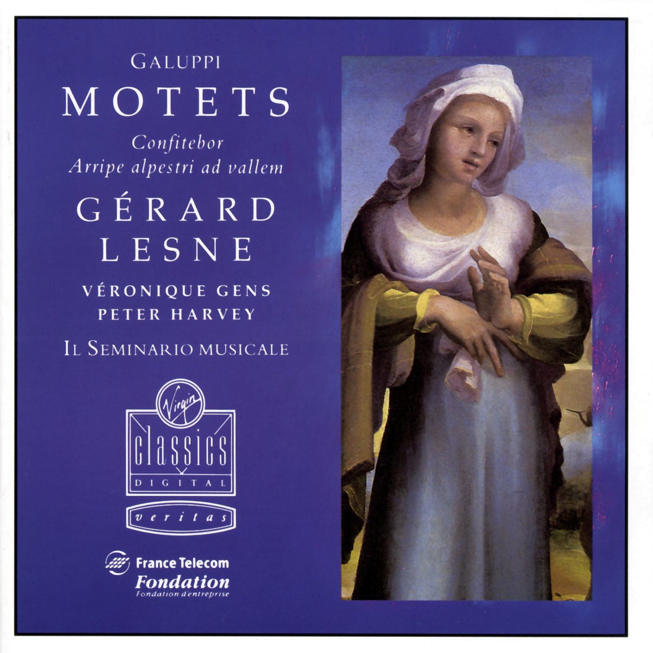 Quo Fugio Quo Vado (Arripe Alpestri Ad Vallem)