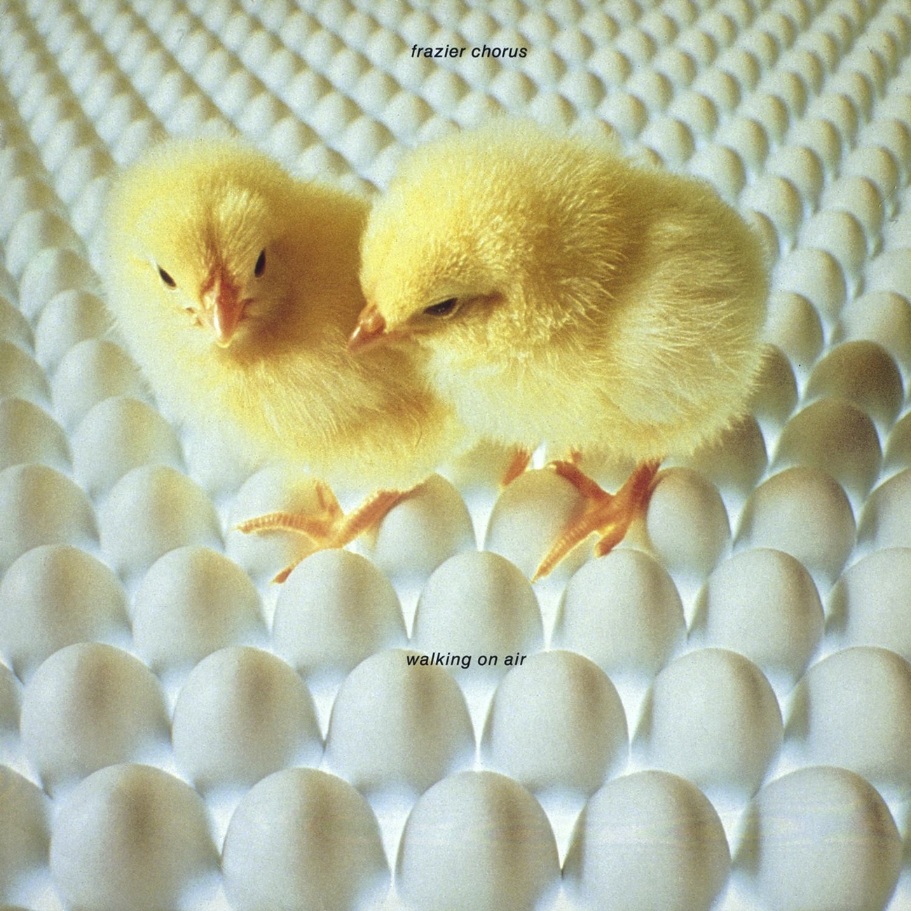 Walking On Air (Dub Instrumental)