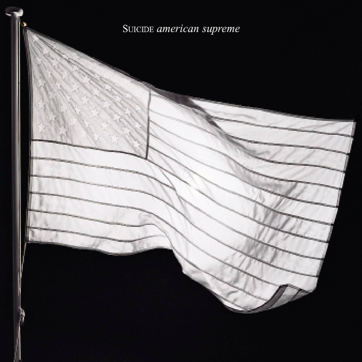 Swearin' To The Flag