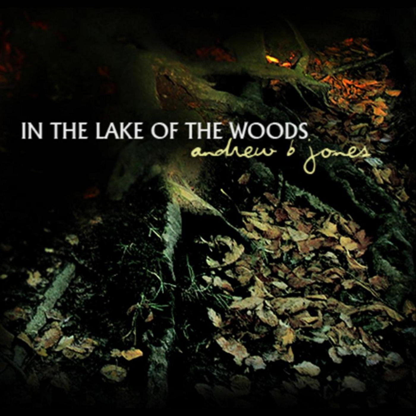 The Nature of the Dark